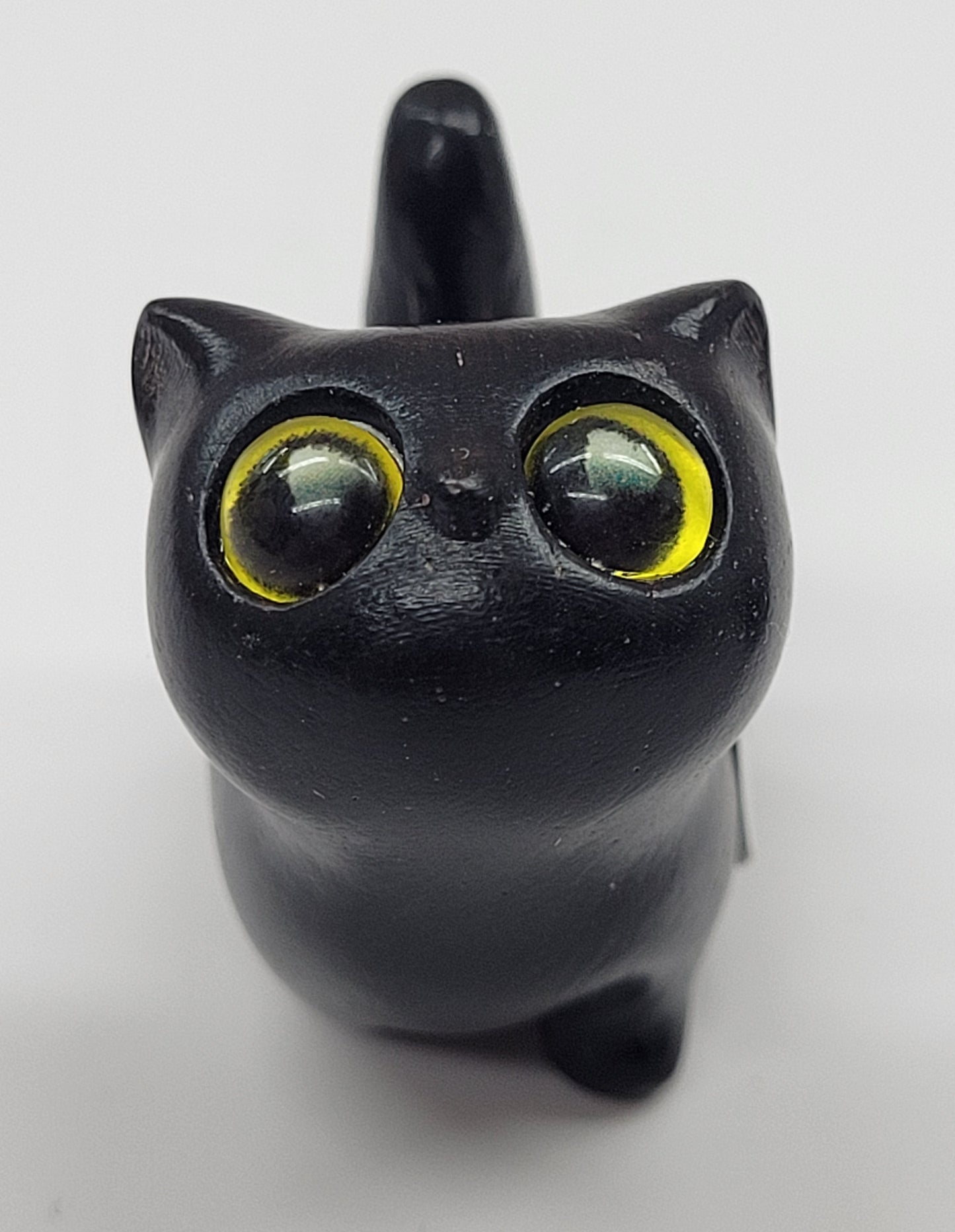 Sandalwood cat