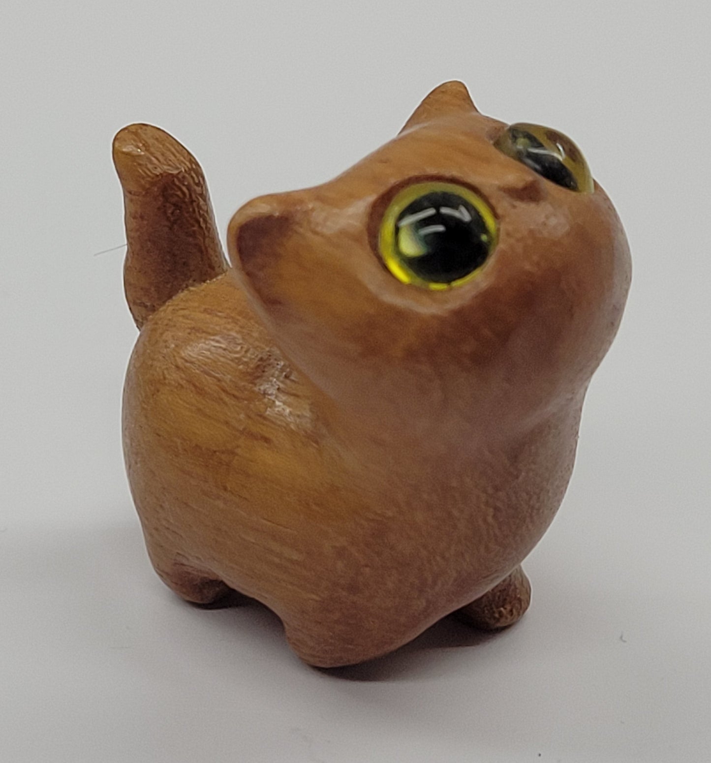 Sandalwood cat