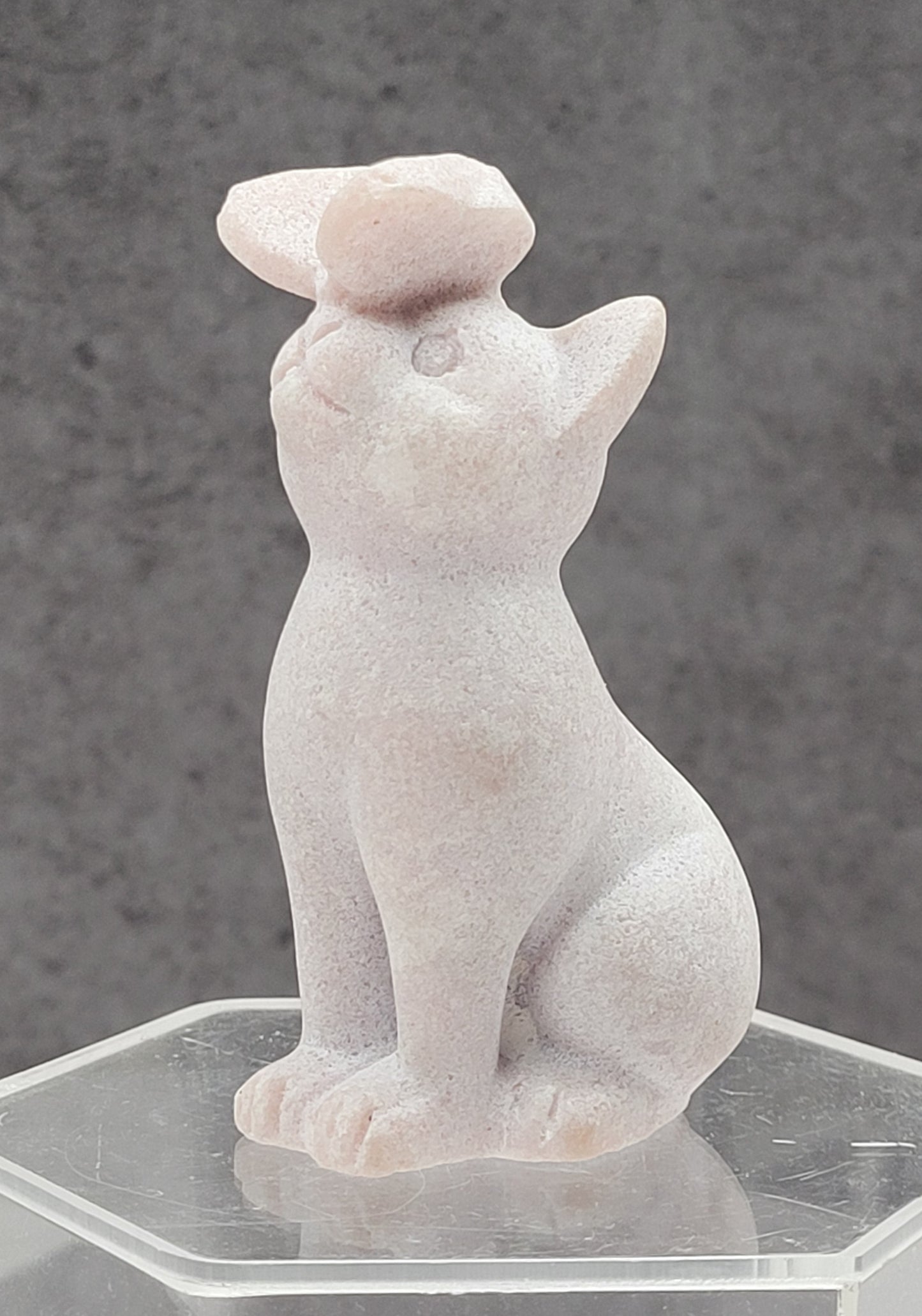 Cat/kitty carving - butterfly on nose (L)