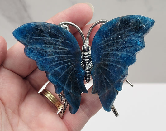 Butterfly wings