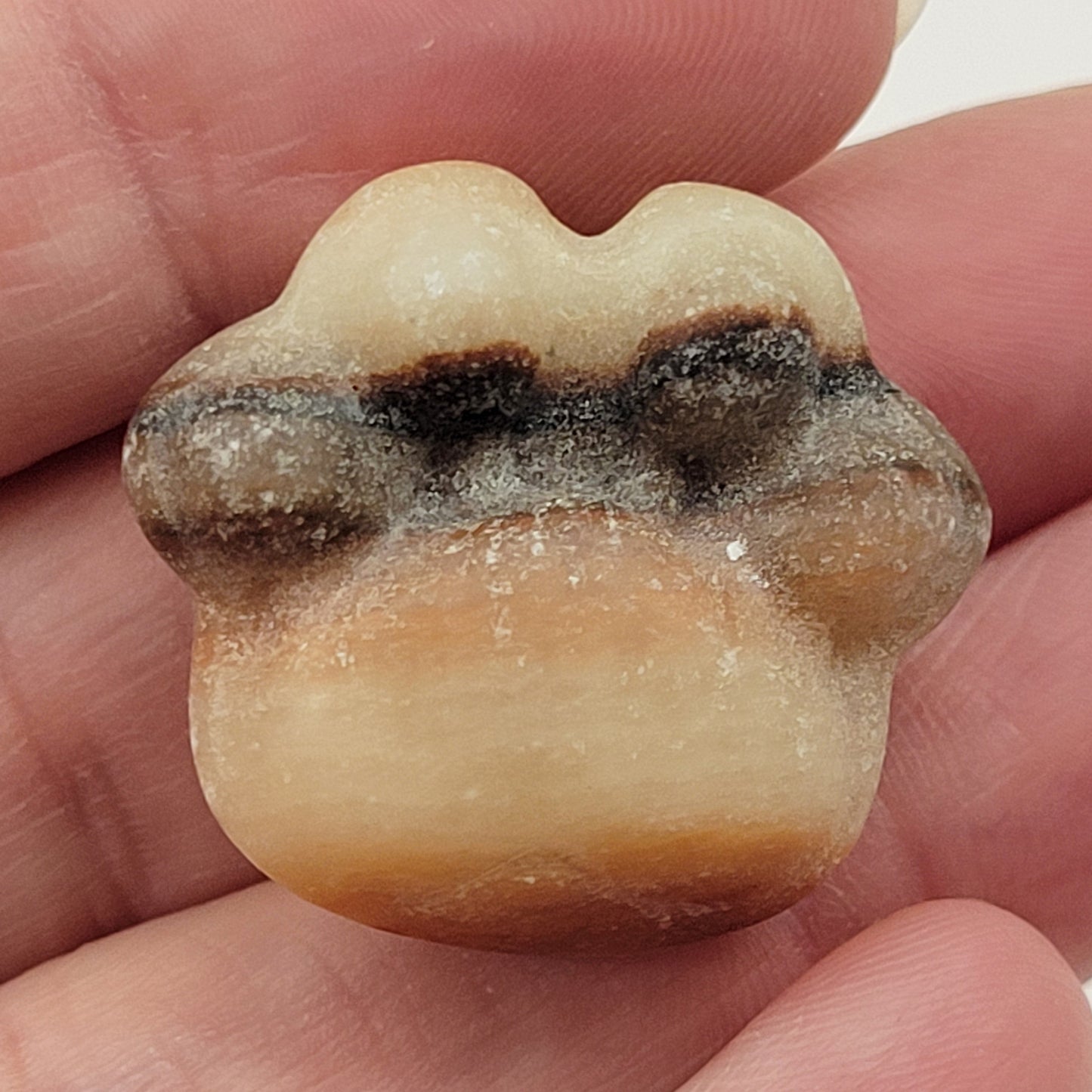 Paw print carvings (small)