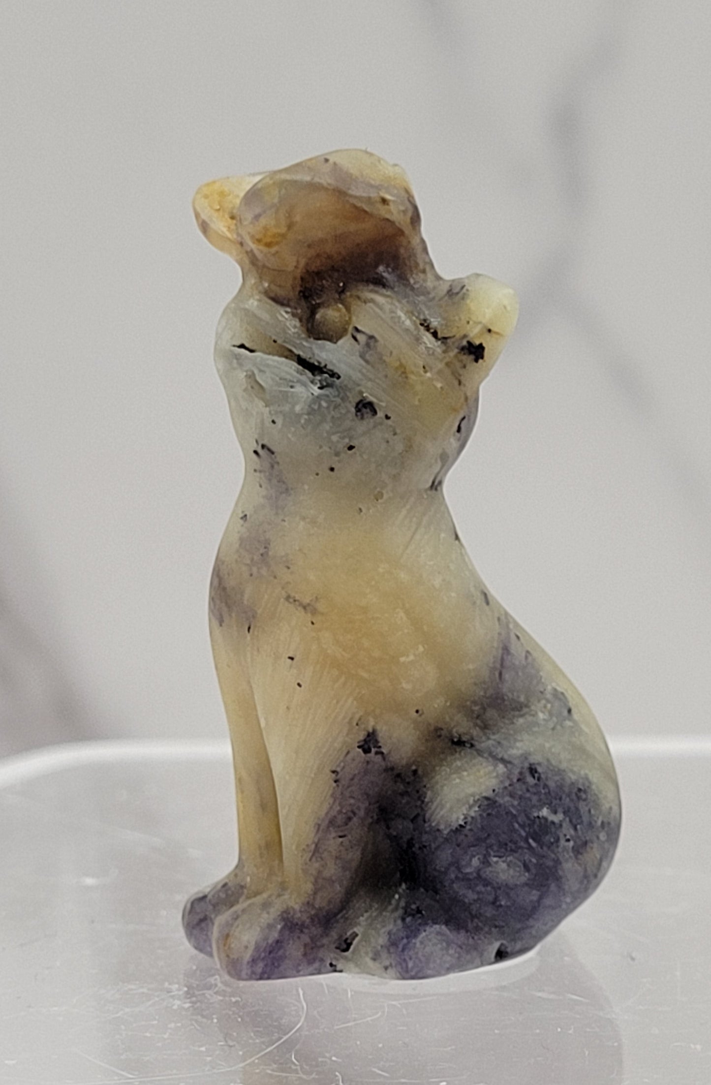 Cat/kitty carving - butterfly on nose (S)