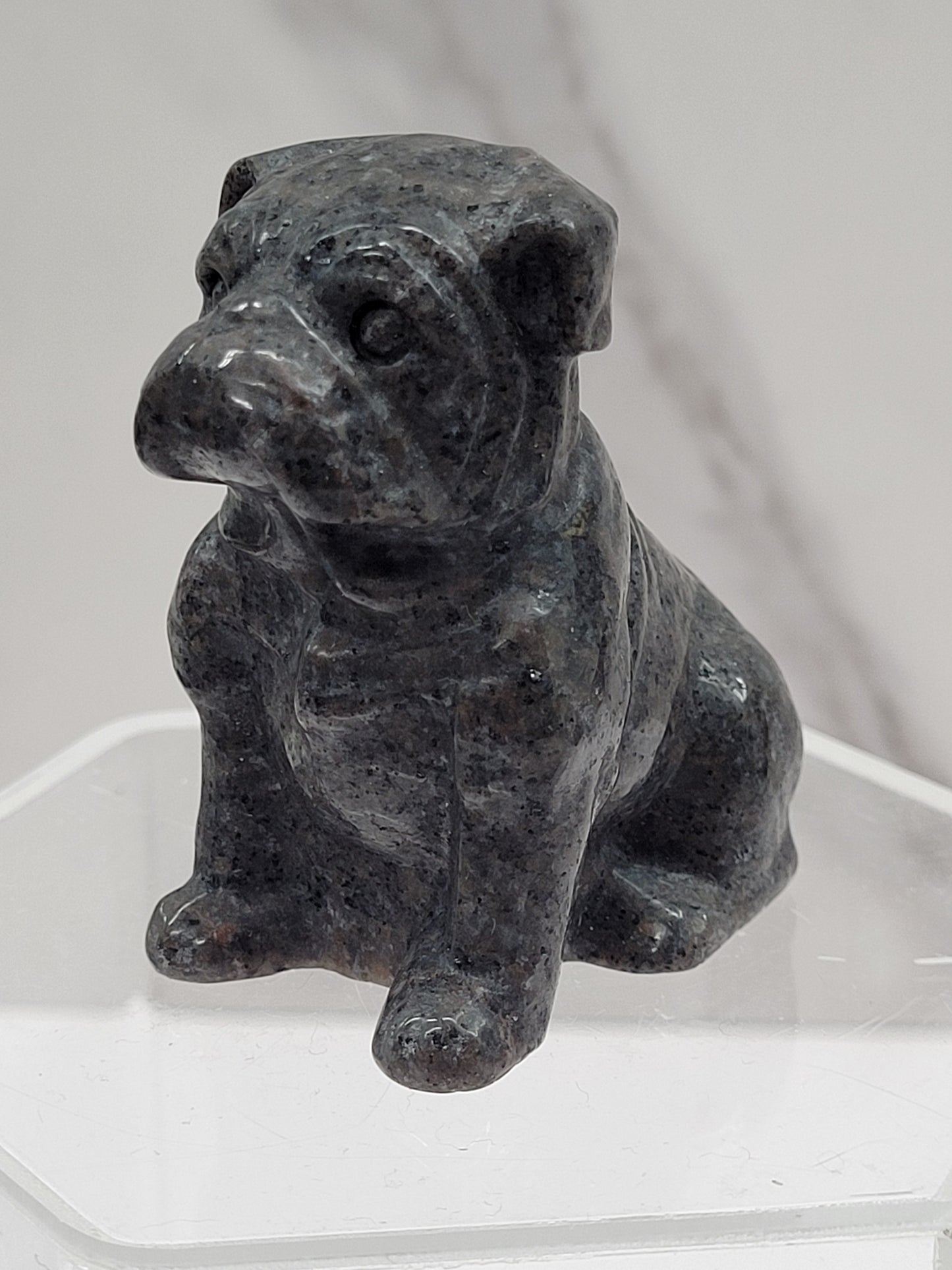 Dog - Bulldog (L)