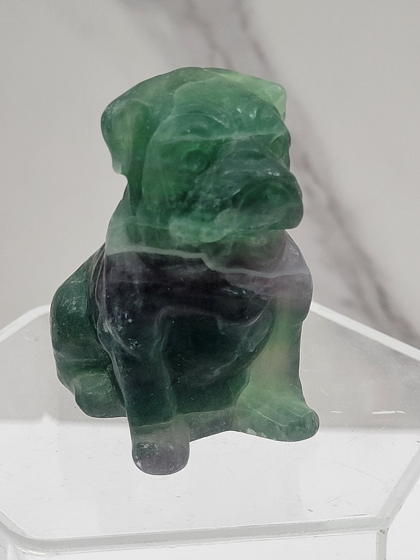 Dog - Bulldog (L)