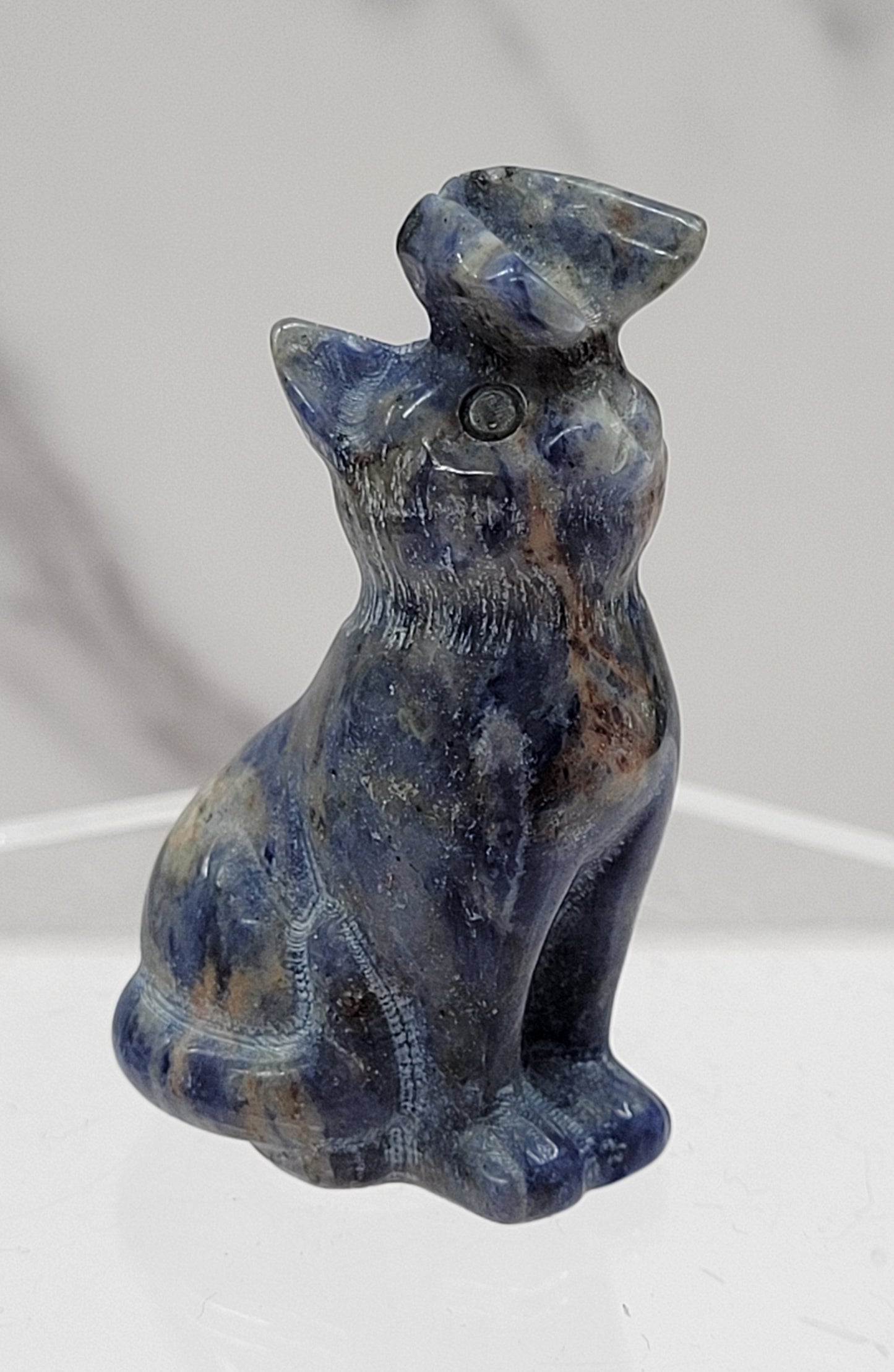 Cat/kitty carving - butterfly on nose (S)