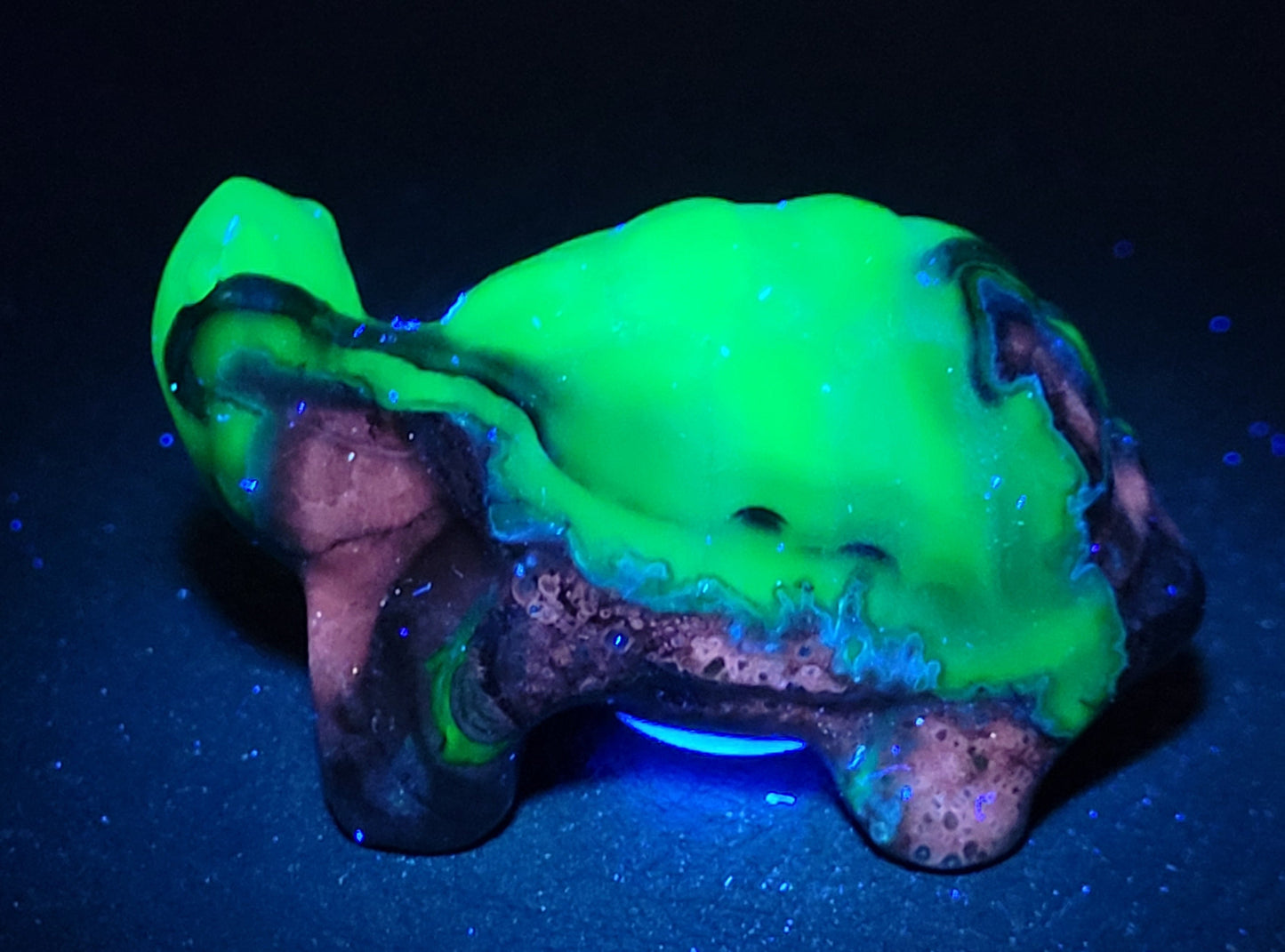 Turtle - Volcano Agate