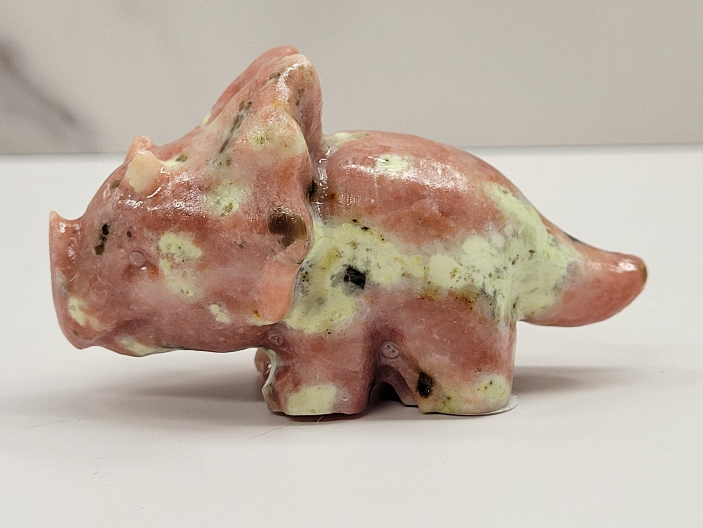 Dinosaur Triceratops (medium)