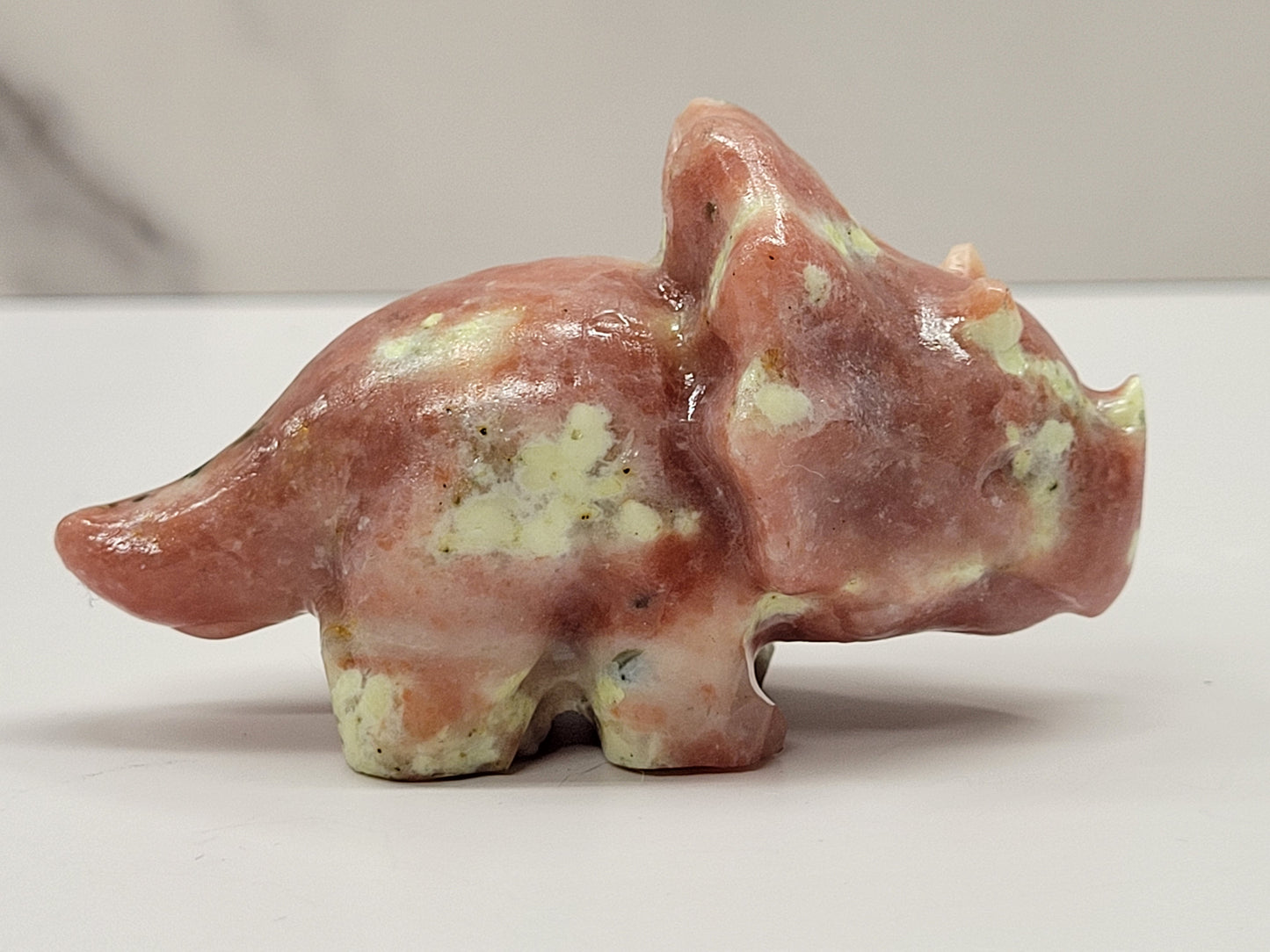 Dinosaur Triceratops (medium)