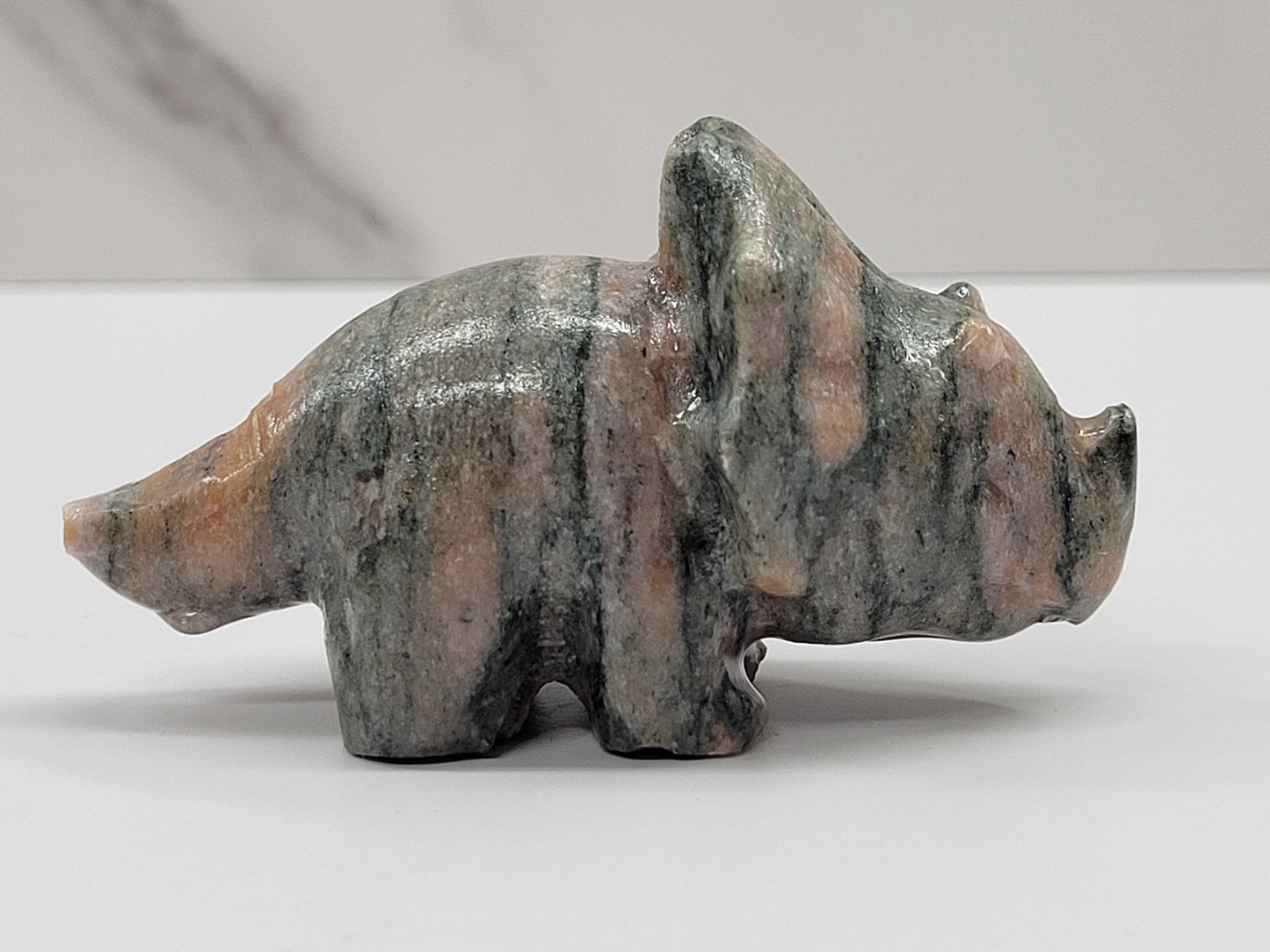 Dinosaur Triceratops (medium)