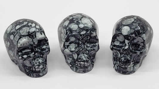 Skull medium - Fossil Shell Jasper