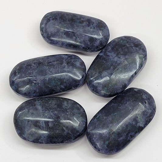Palm - Iolite with Blue Apatite