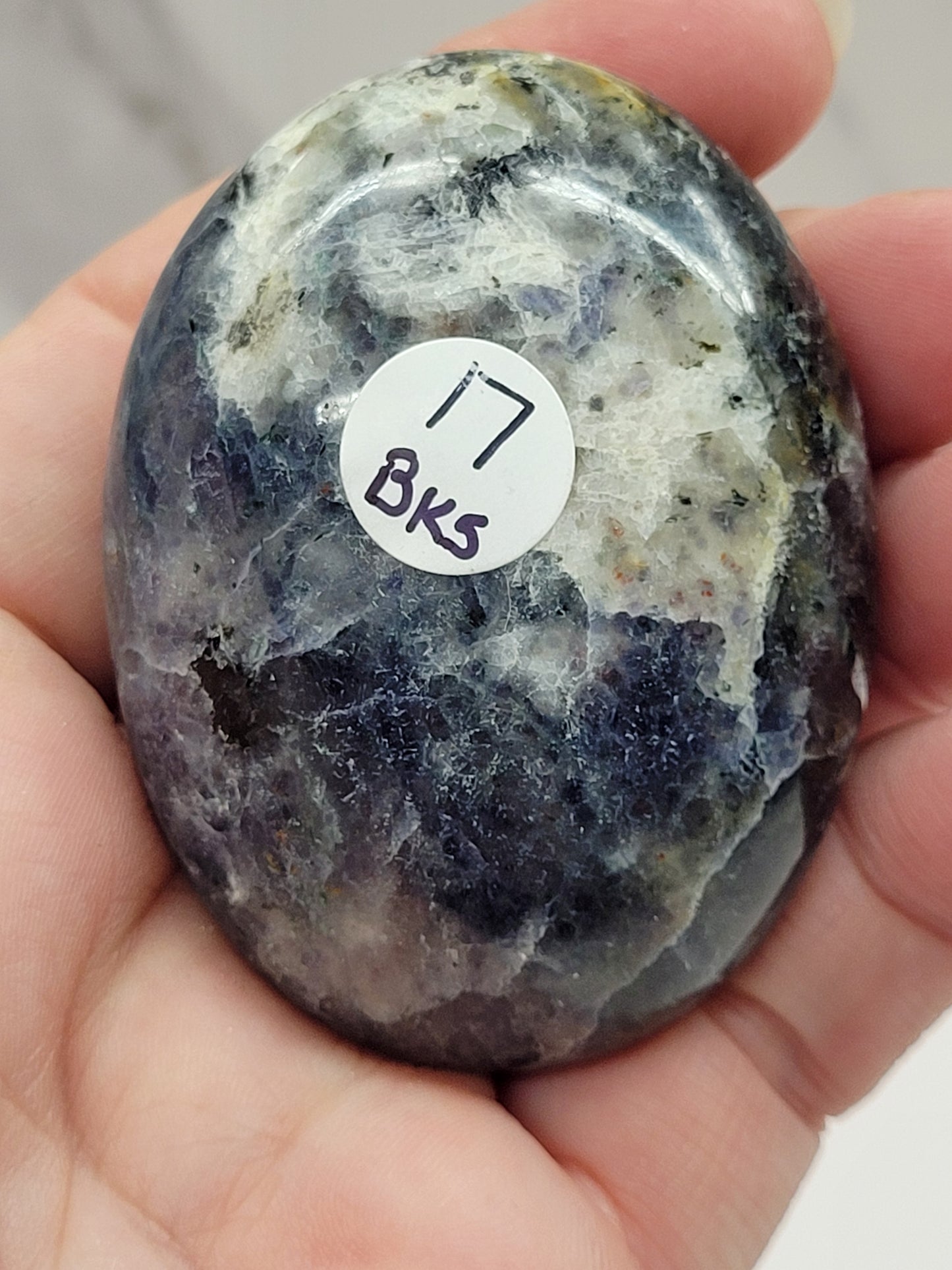 Iolite/Cordierite palm