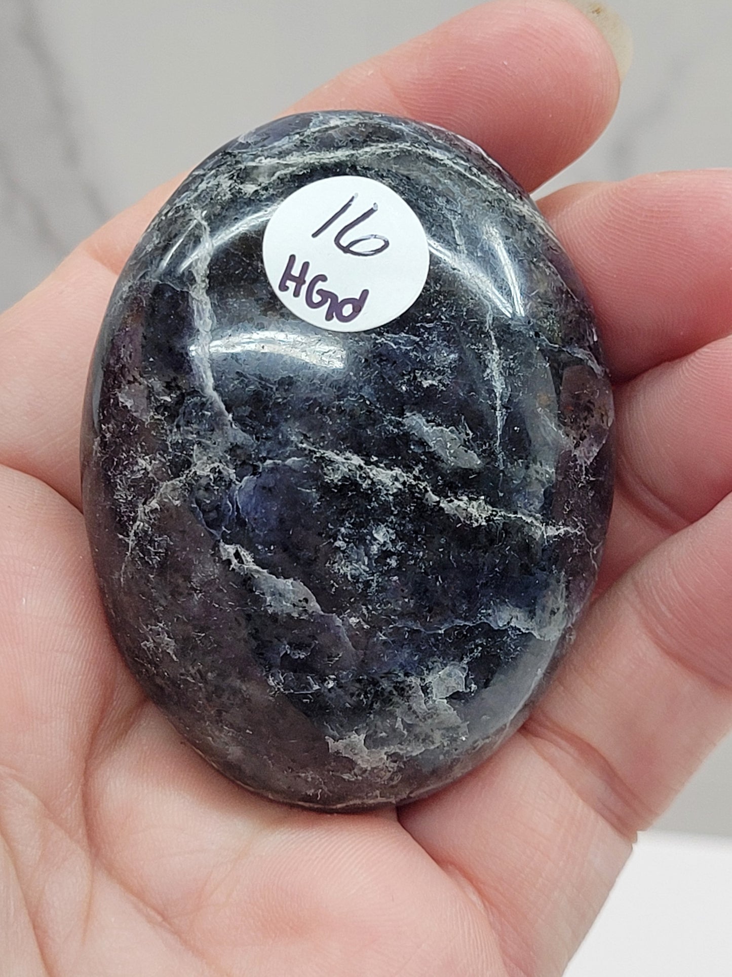Iolite/Cordierite palm