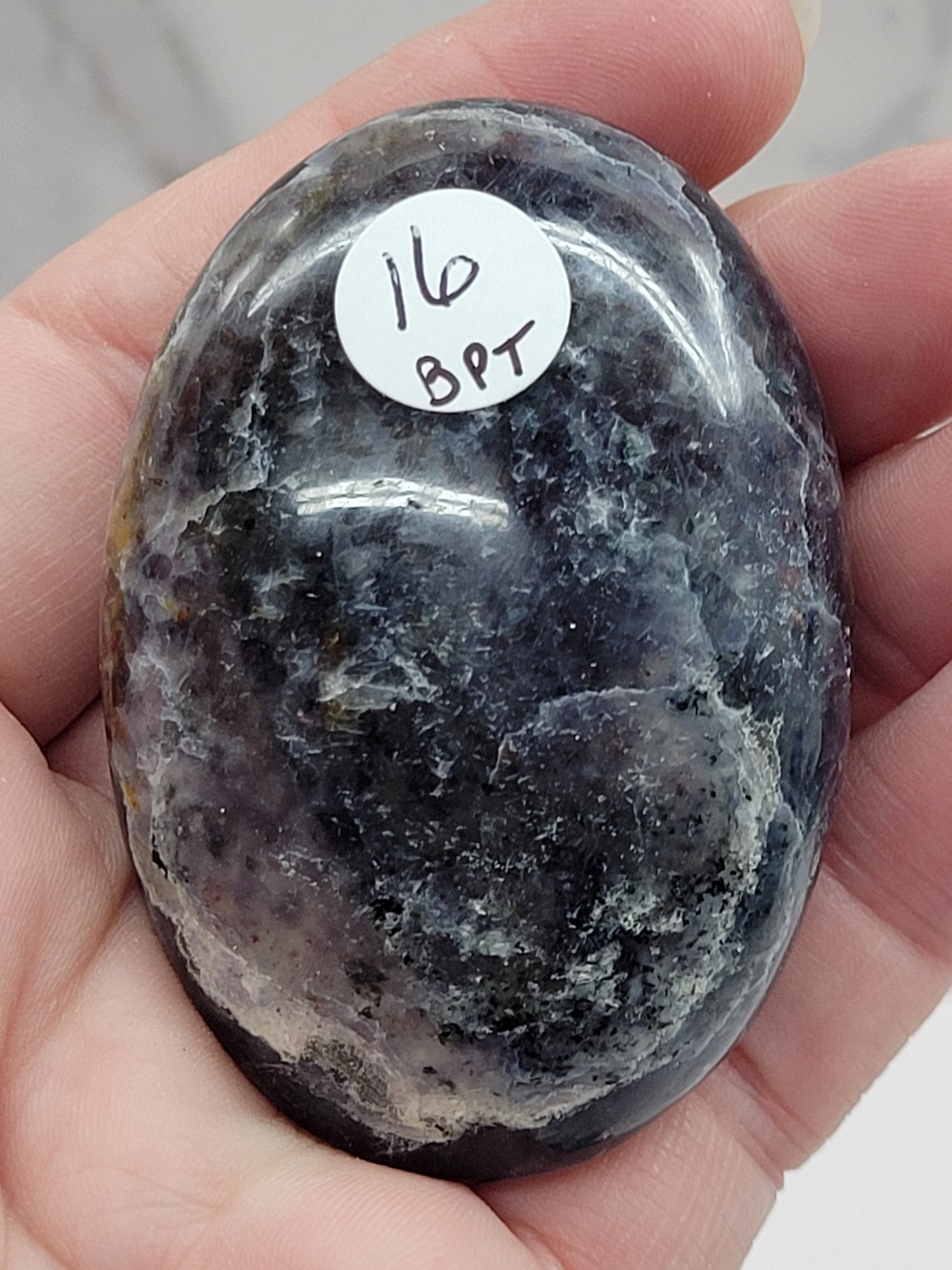 Iolite/Cordierite palm