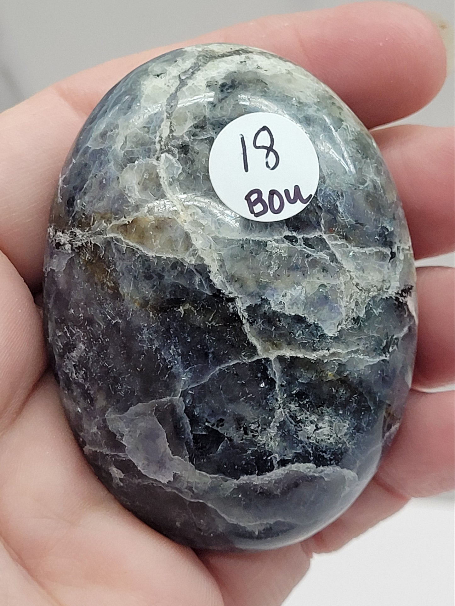Iolite/Cordierite palm