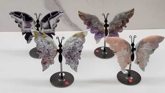 Wings - butterfly - variety of materials (M)