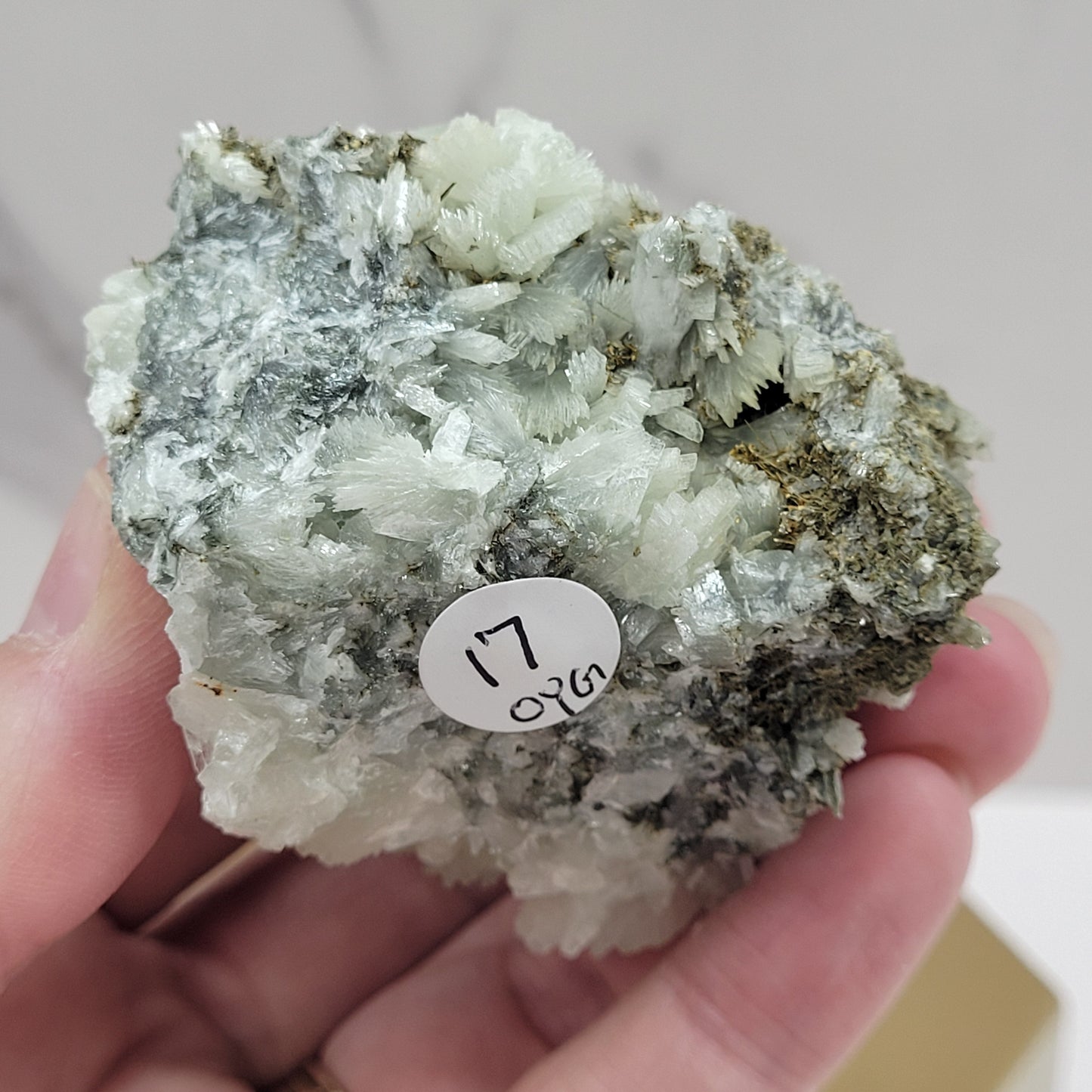 Prehnite specimens