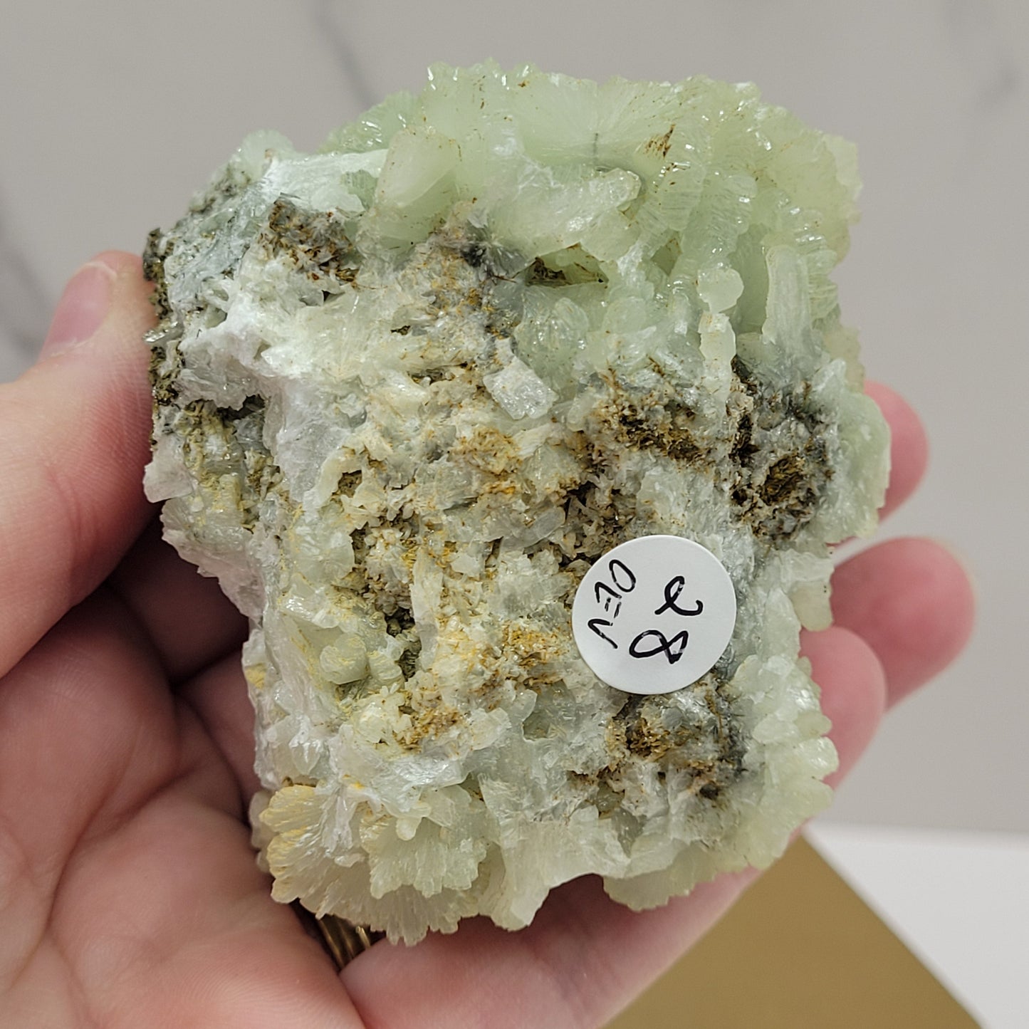 Prehnite specimens