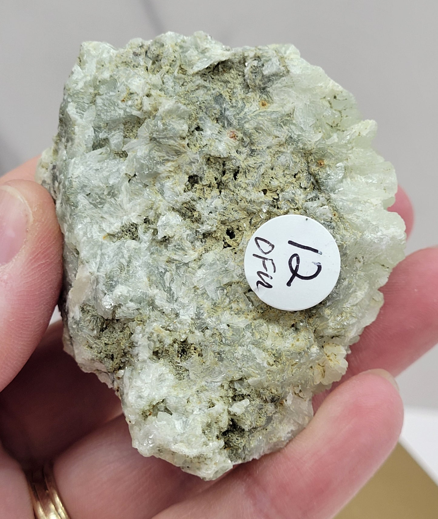 Prehnite specimens