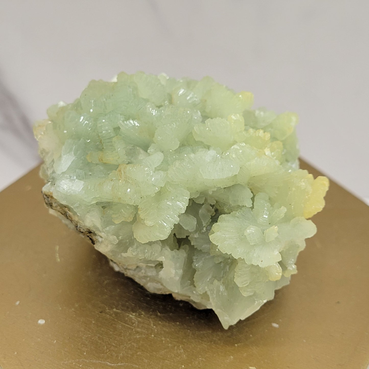 Prehnite specimens