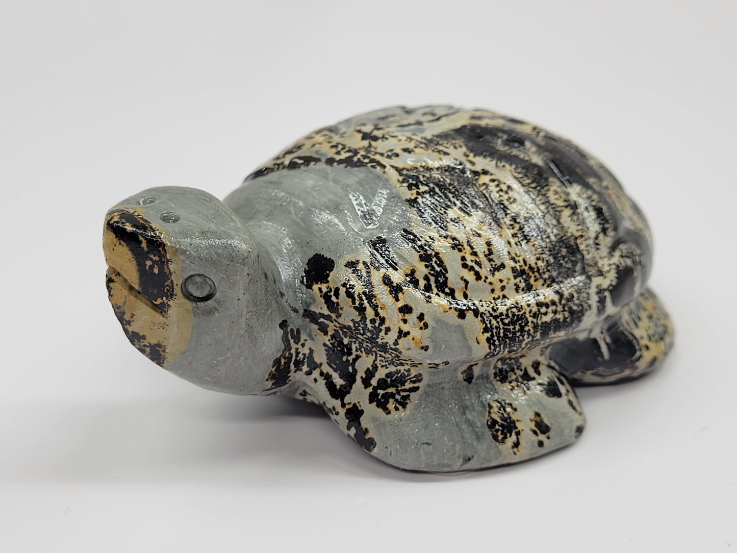 Turtle - Picture Jasper (M & L)