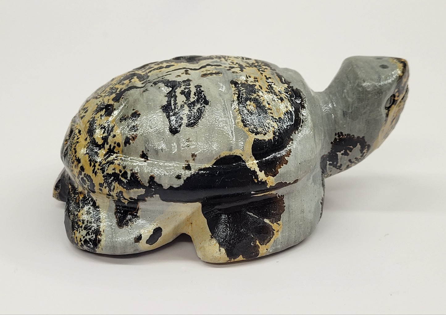 Turtle - Picture Jasper (M & L)