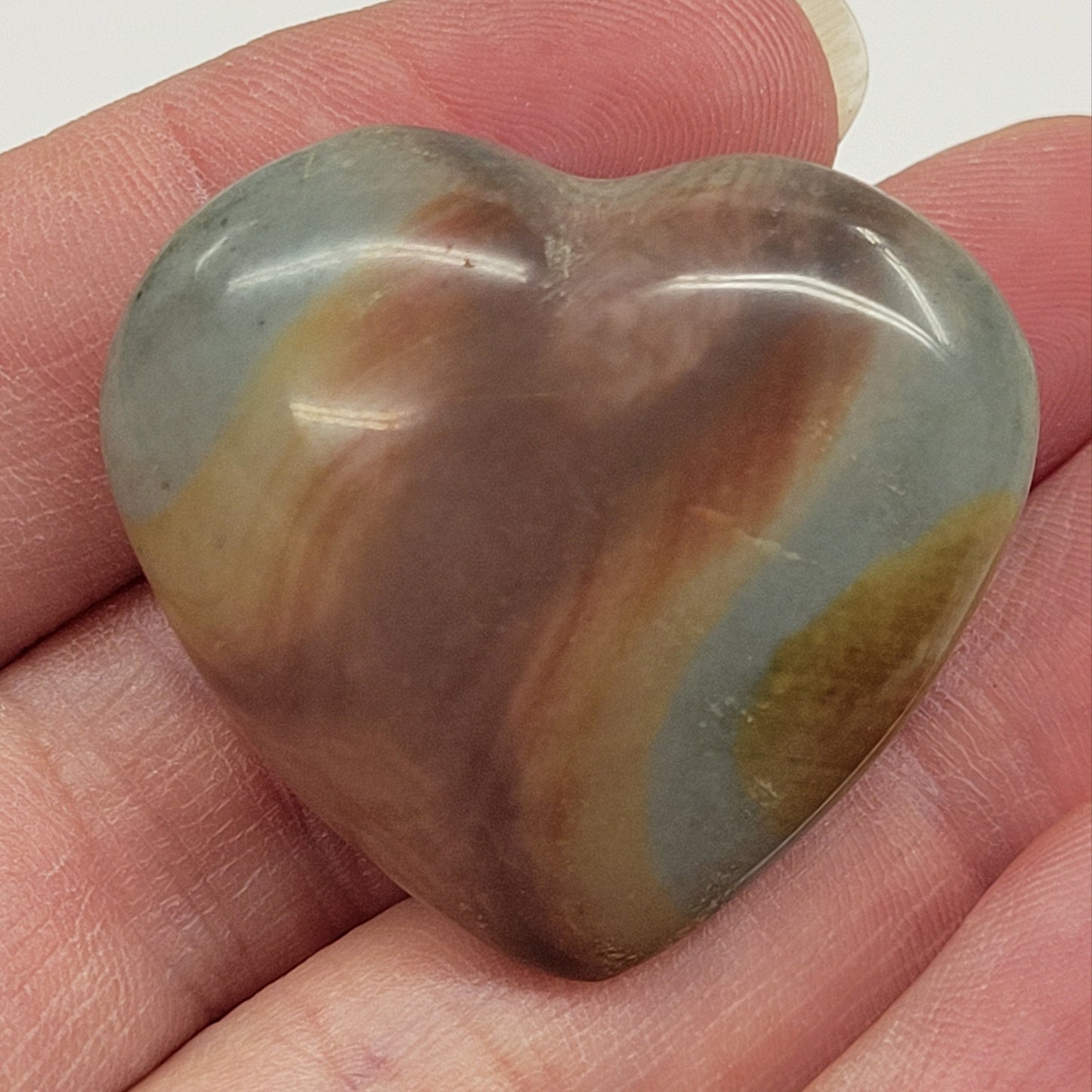 Polychrome heart