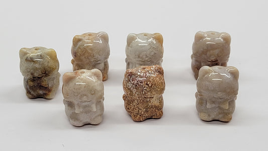 Mini Fossil Coral Jasper cat