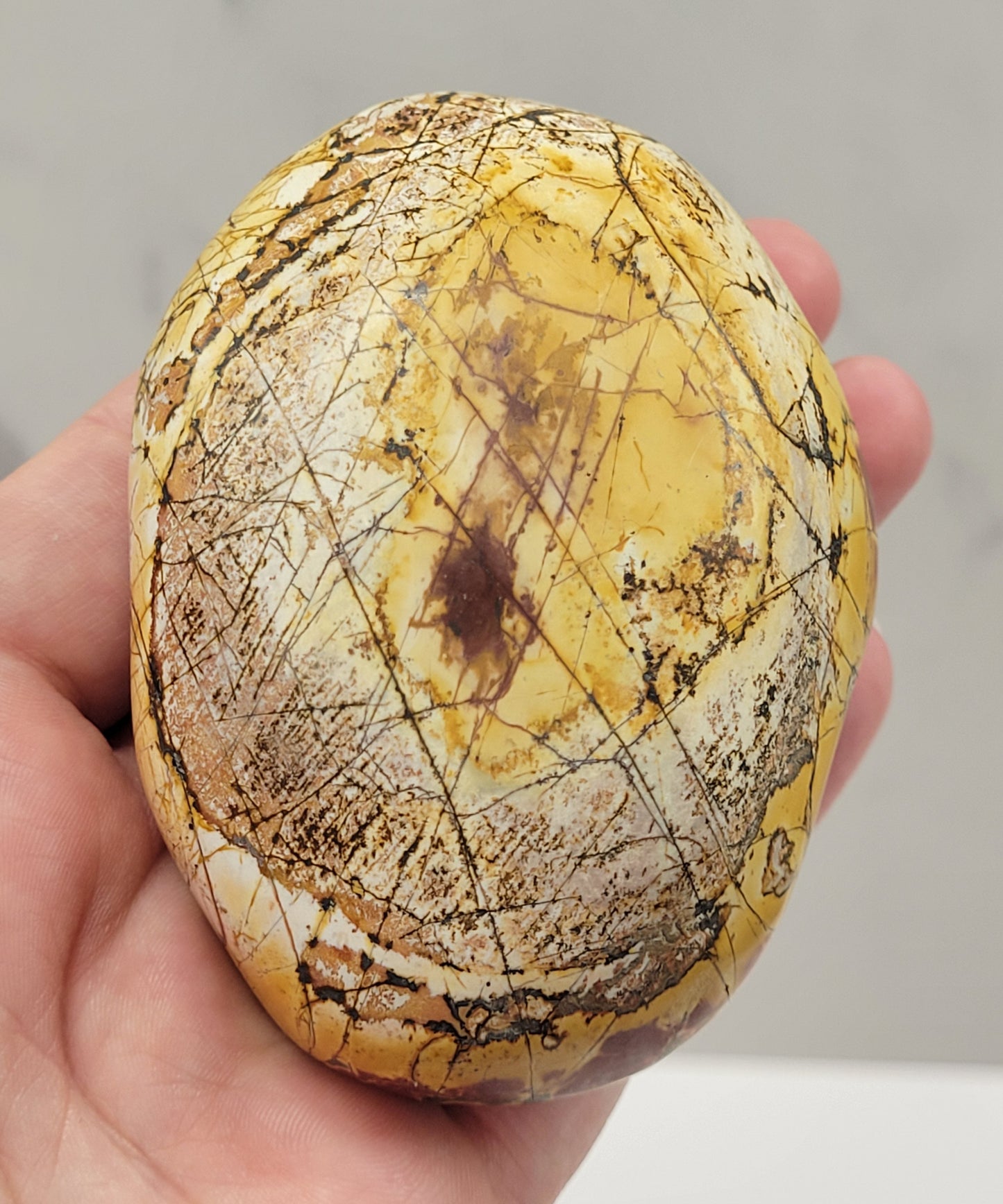 Cherry Creek Jasper free forms