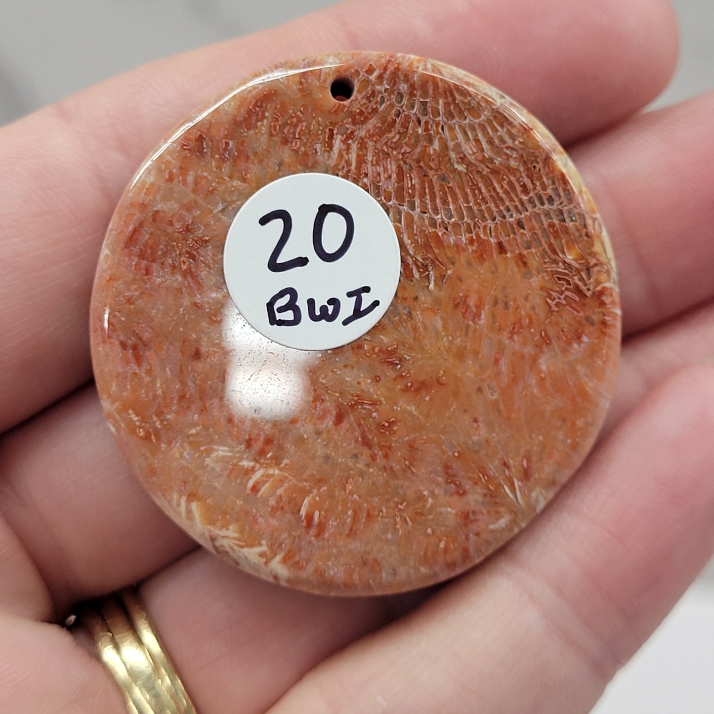 Fossil Coral Jasper pendant