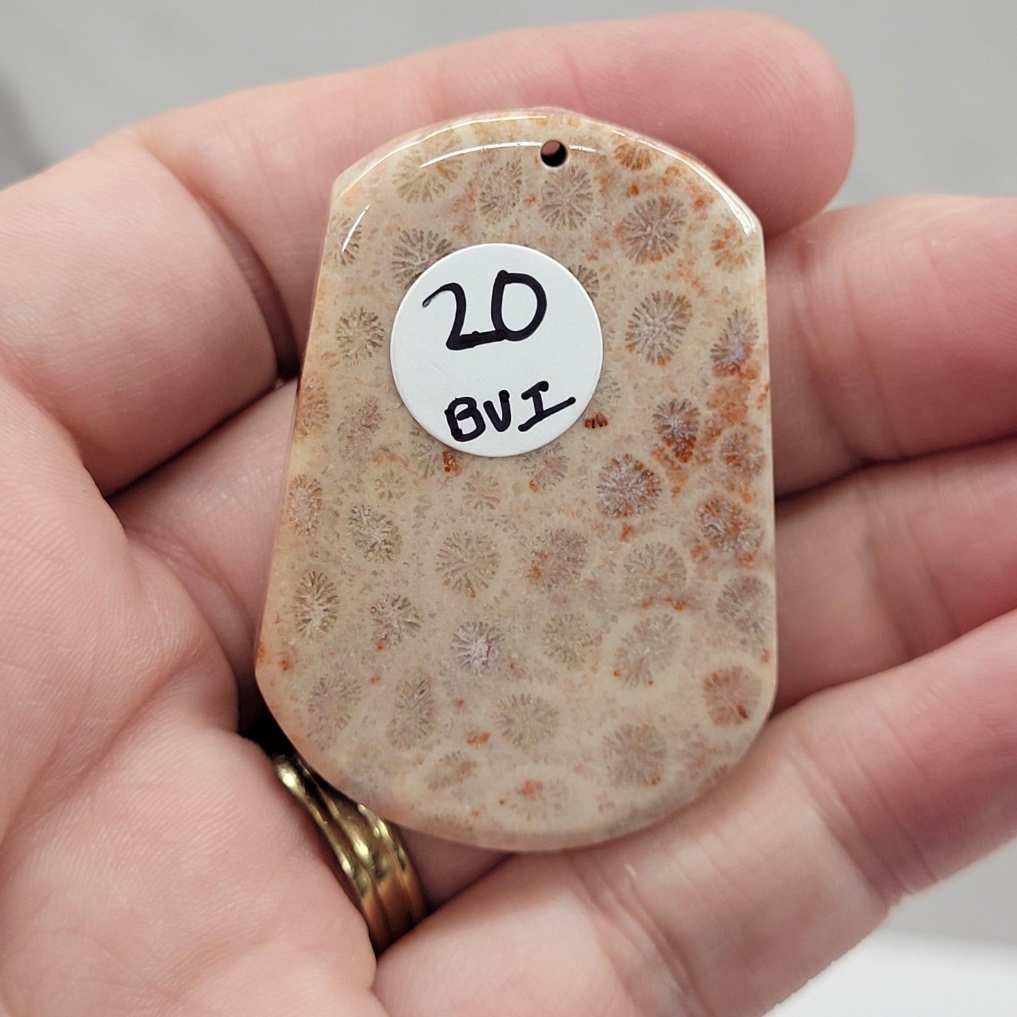 Fossil Coral Jasper pendant
