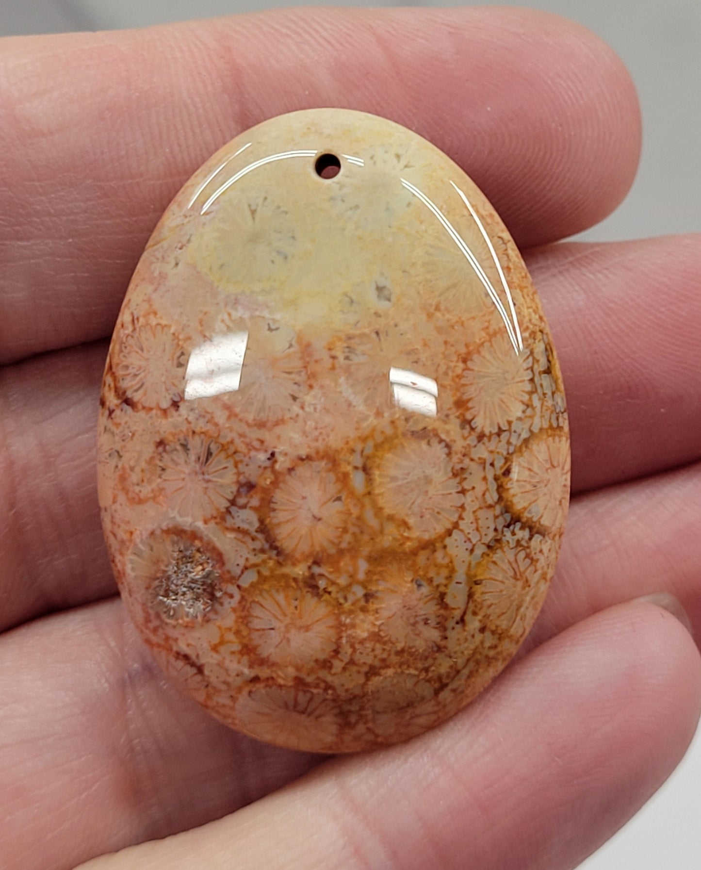 Fossil Coral Jasper pendant