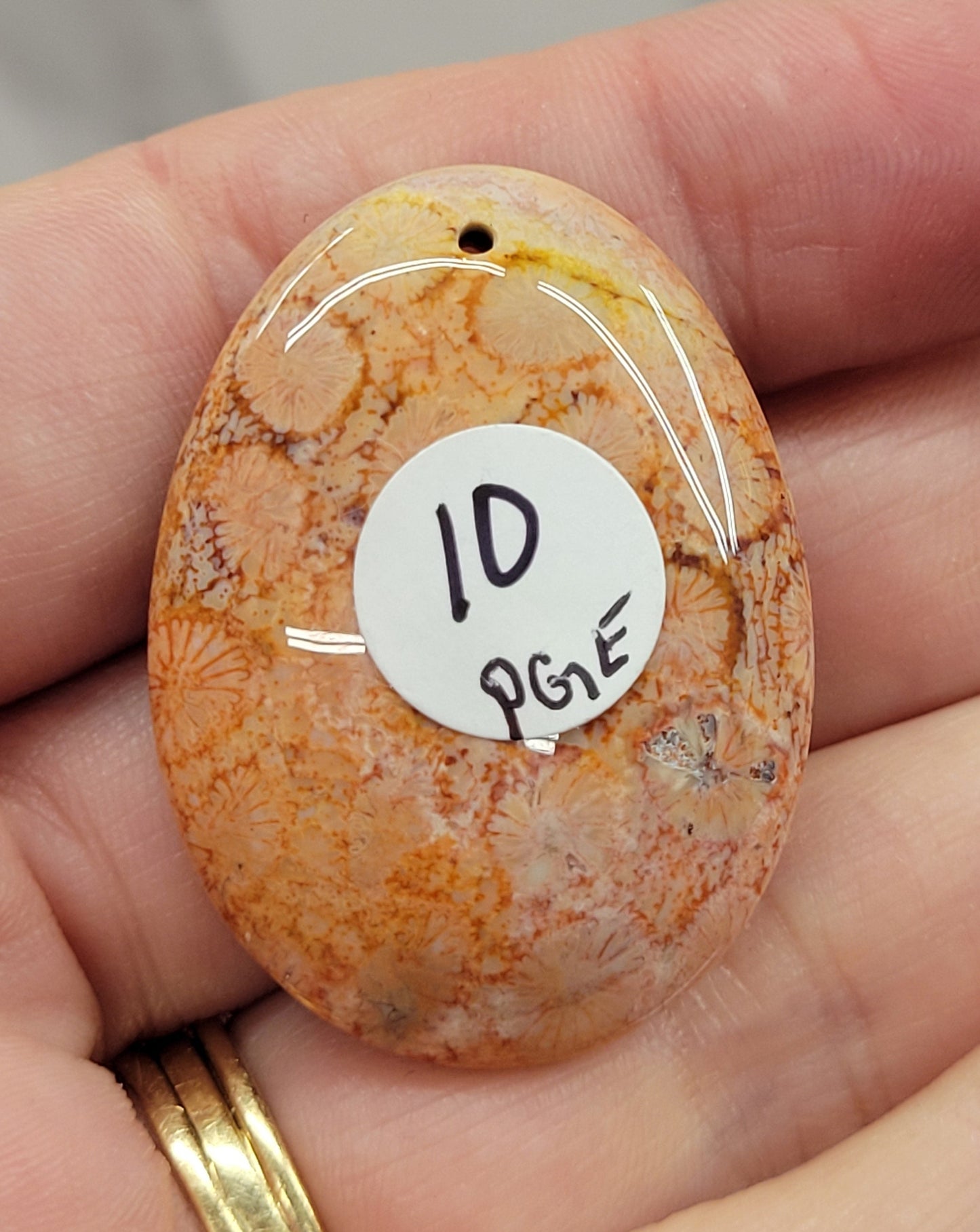 Fossil Coral Jasper pendant