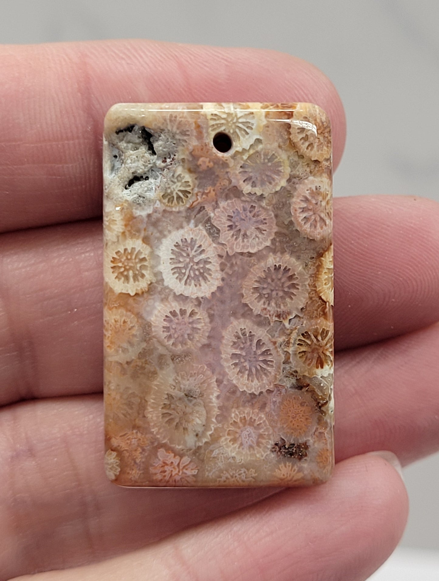 Fossil Coral Jasper pendant