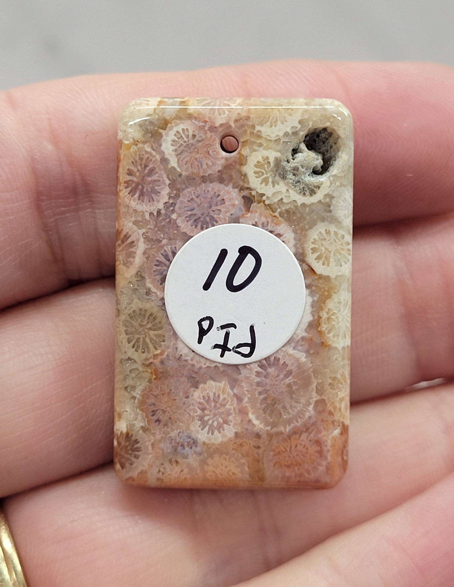 Fossil Coral Jasper pendant