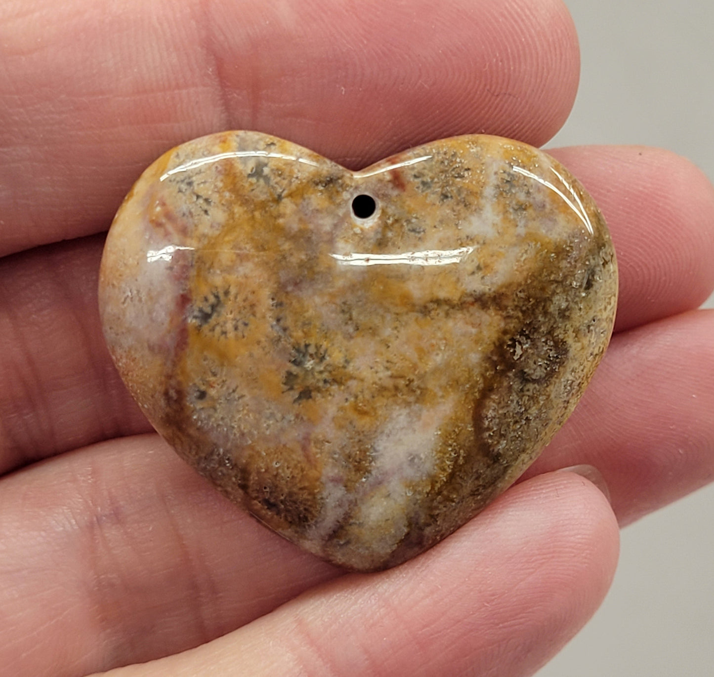 Fossil Coral Jasper pendant