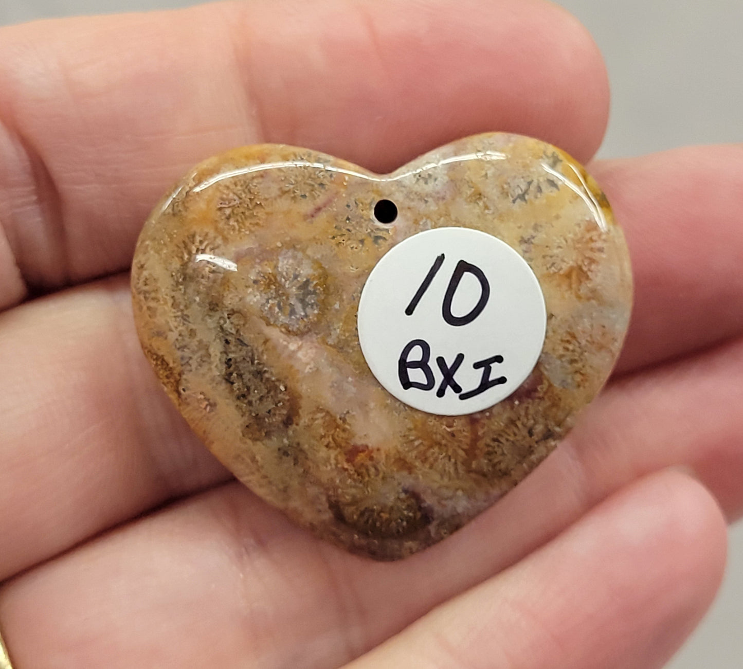 Fossil Coral Jasper pendant