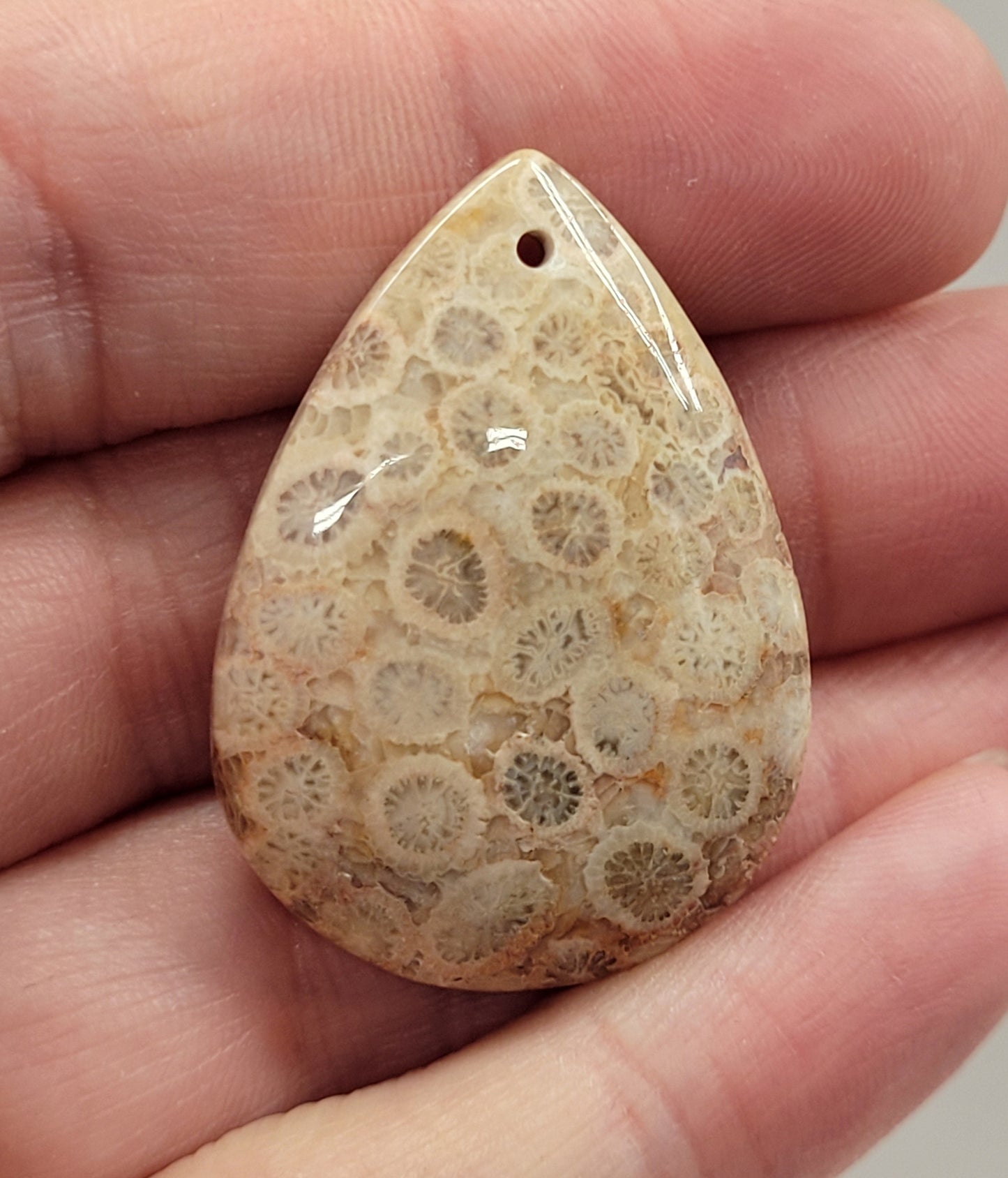 Fossil Coral Jasper pendant