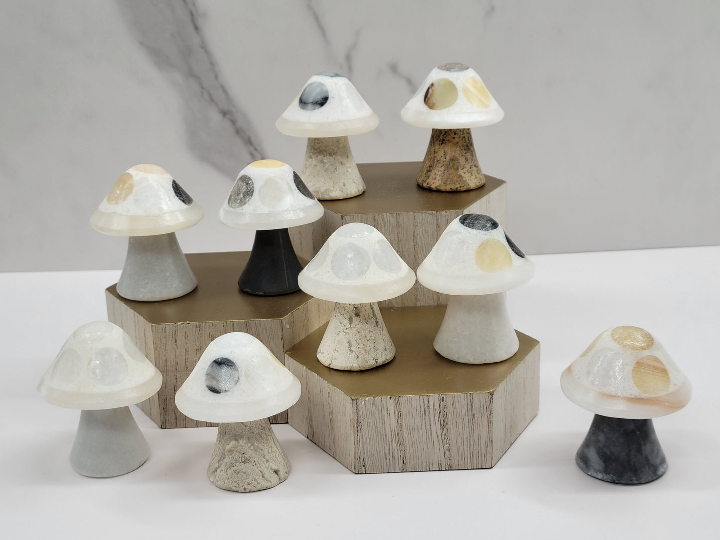 Mexican Onyx mushroom