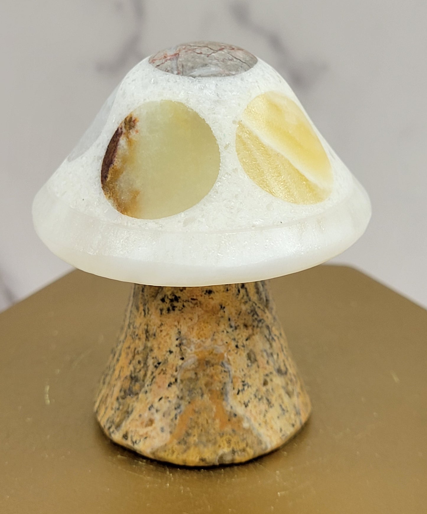 Mexican Onyx mushroom