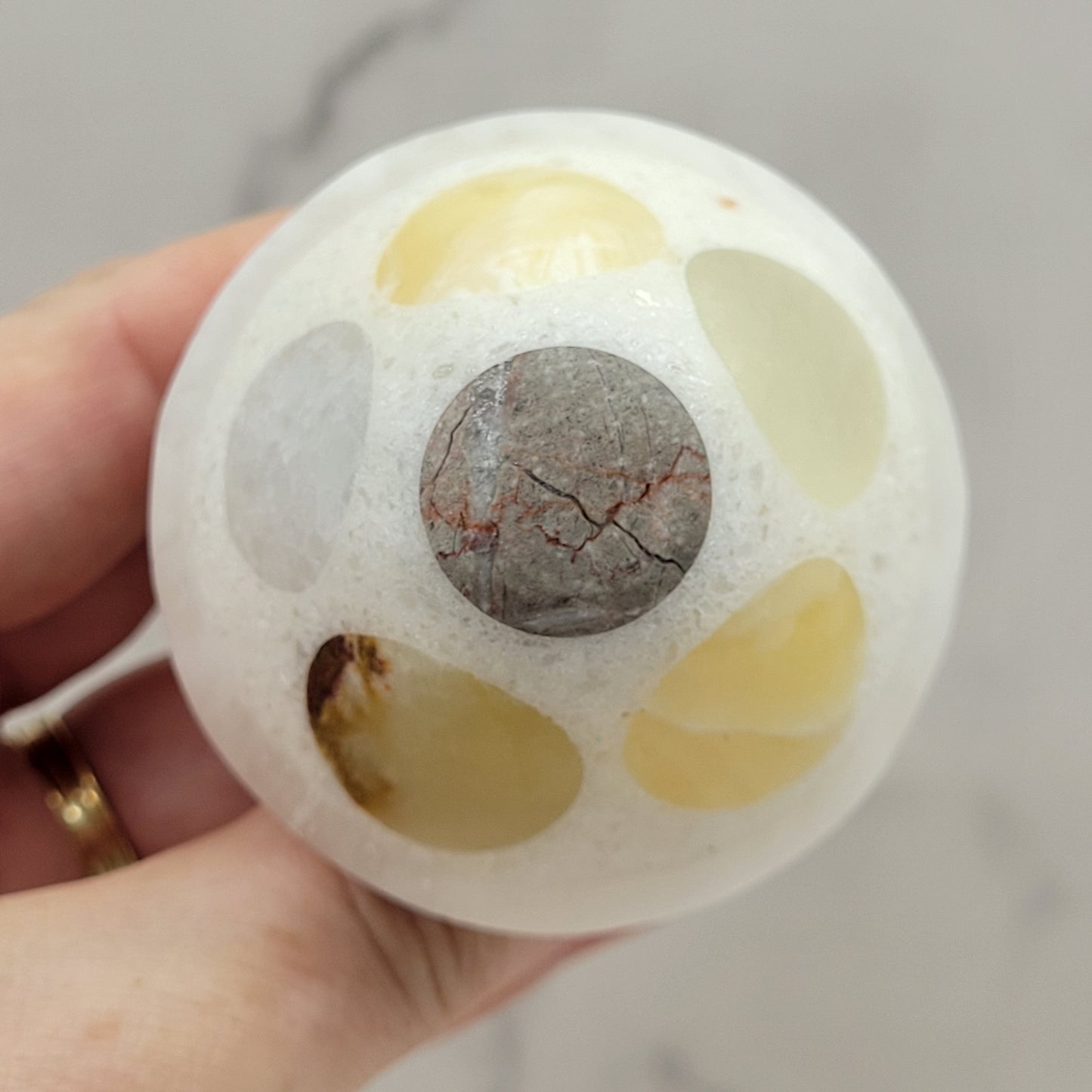 Mexican Onyx mushroom
