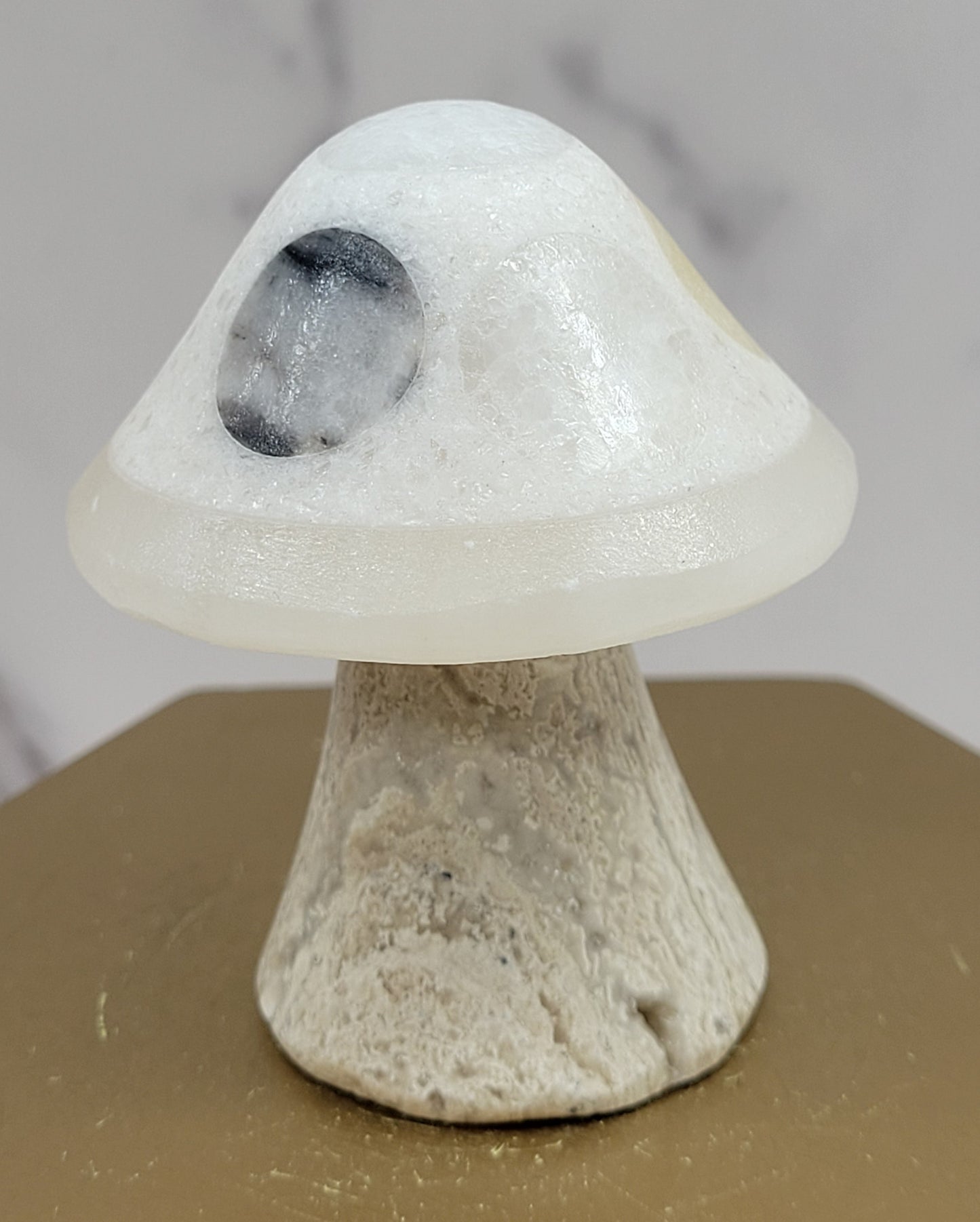 Mexican Onyx mushroom
