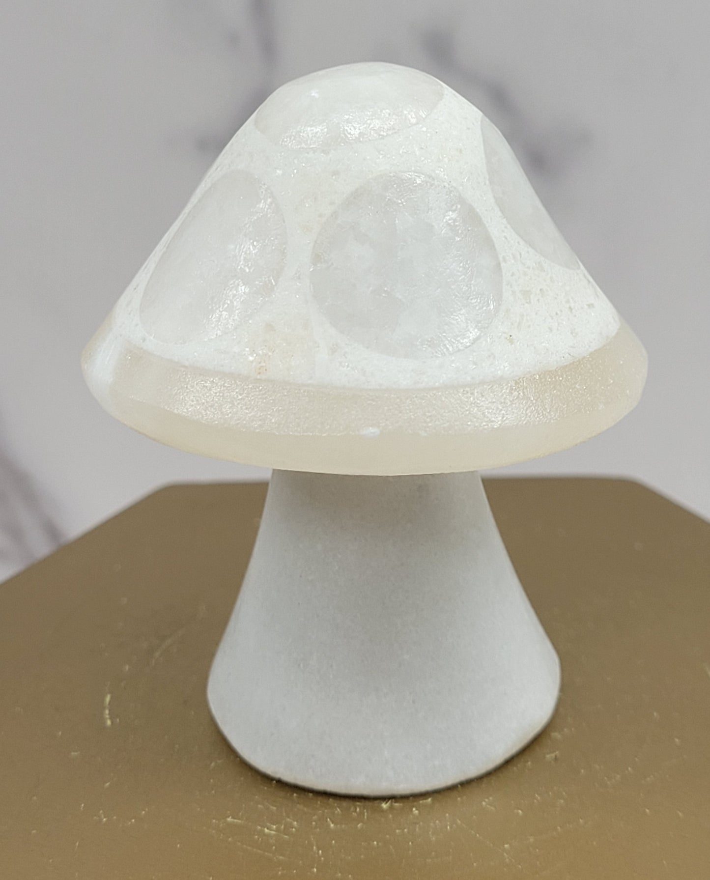 Mexican Onyx mushroom