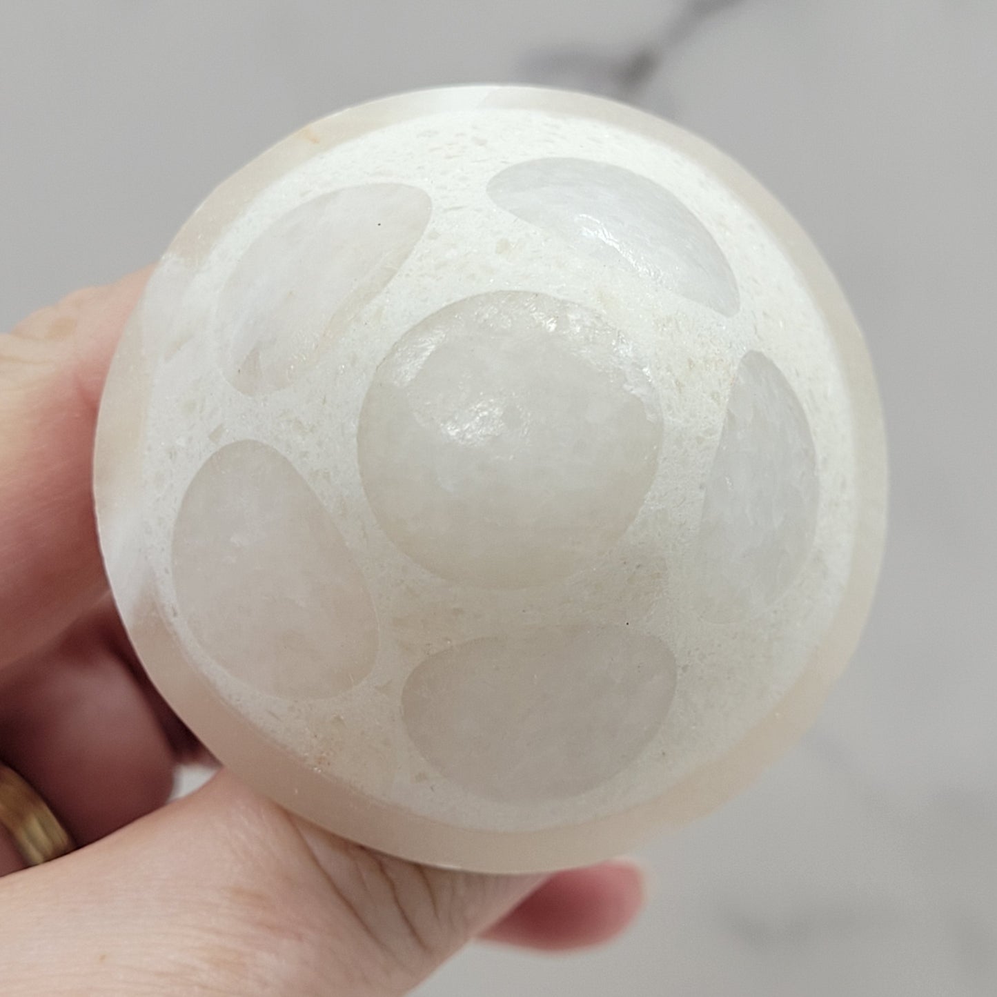 Mexican Onyx mushroom