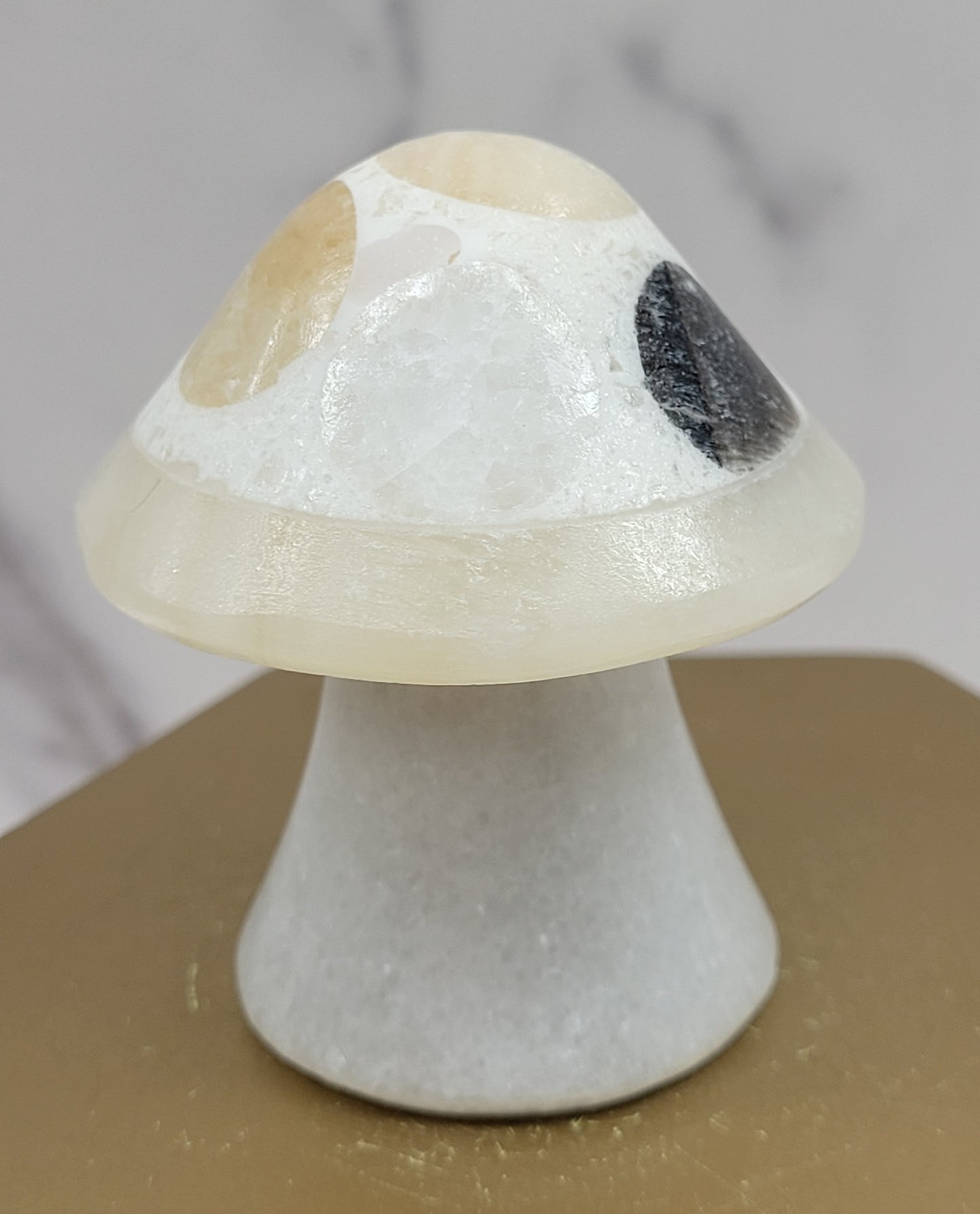 Mexican Onyx mushroom