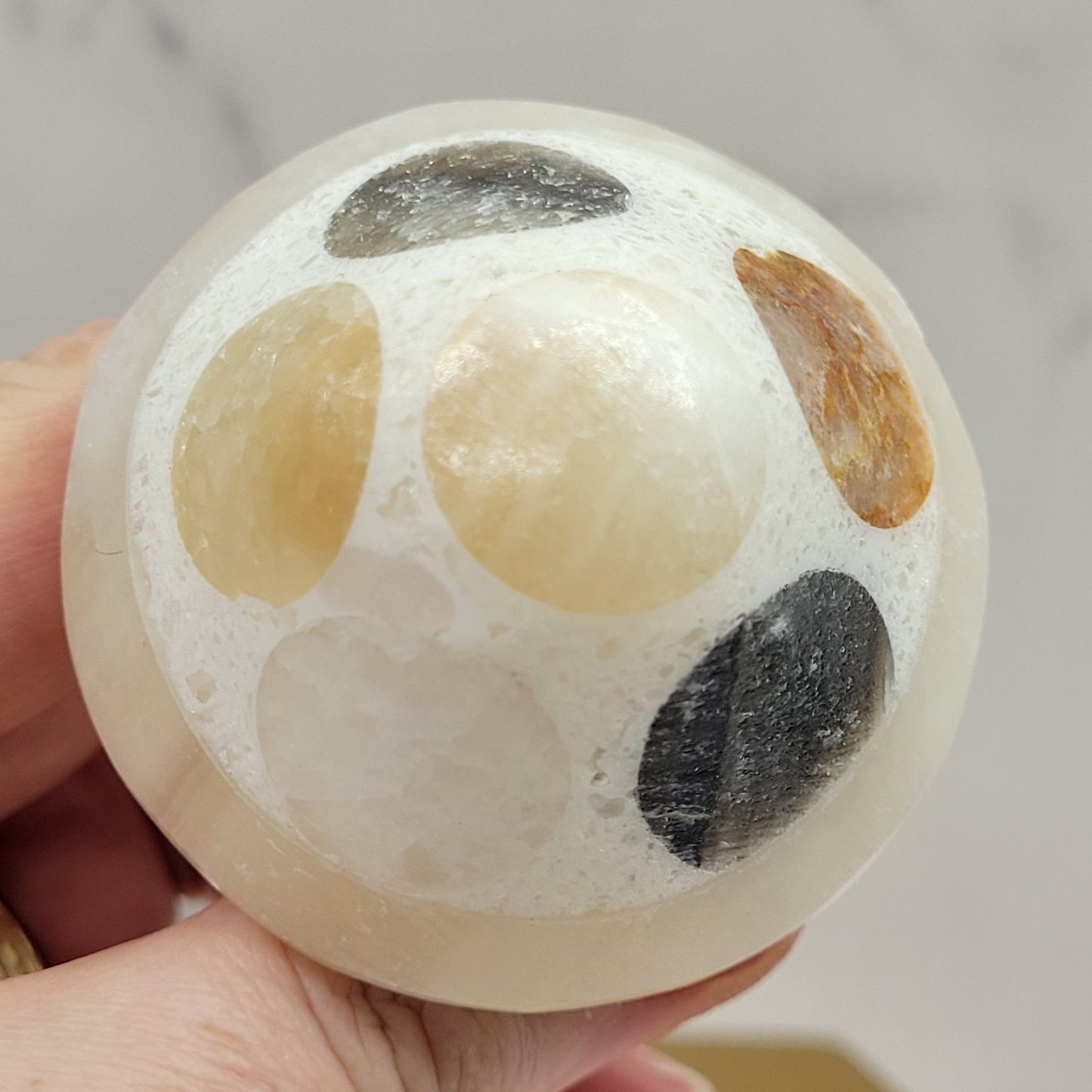 Mexican Onyx mushroom