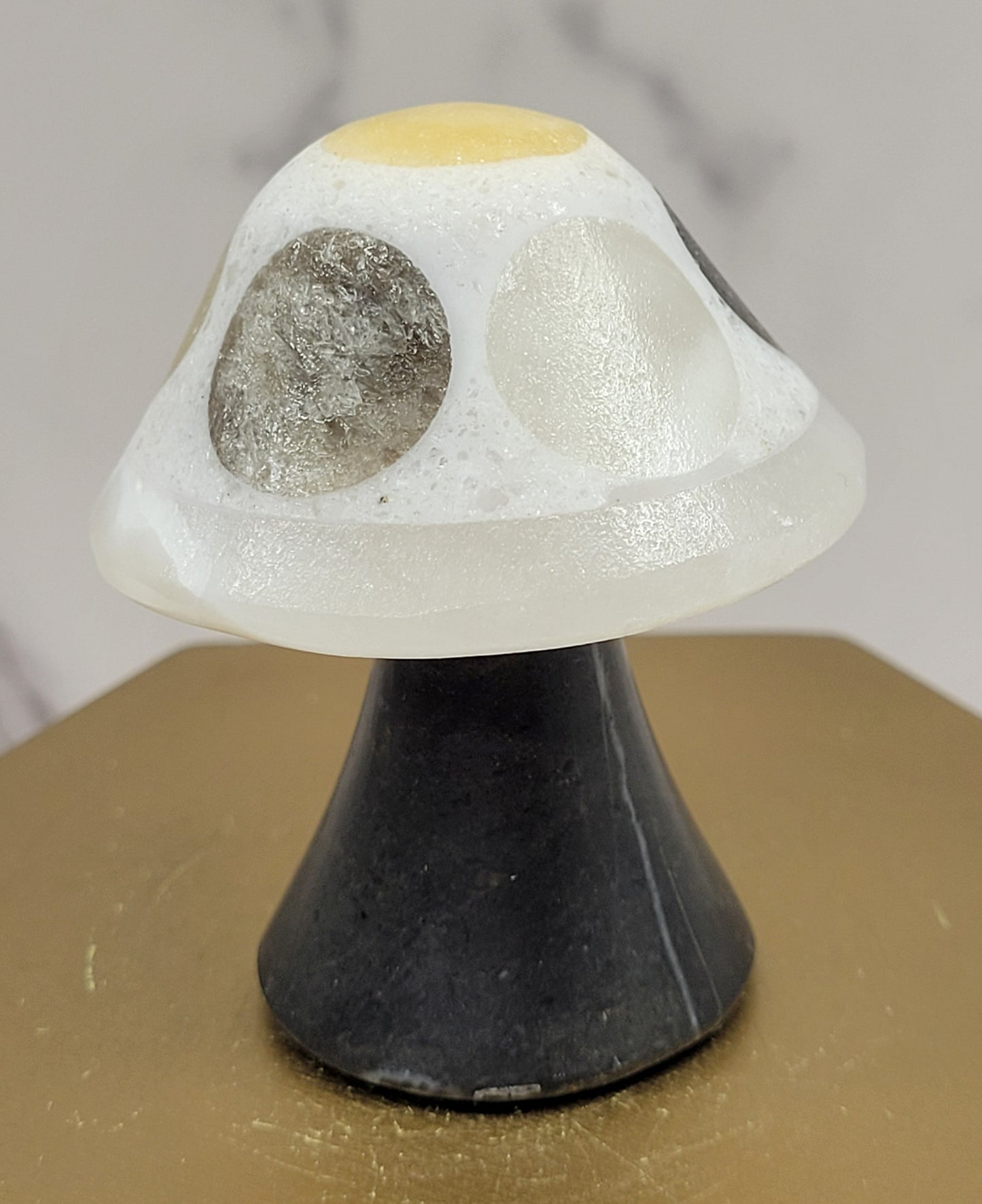 Mexican Onyx mushroom