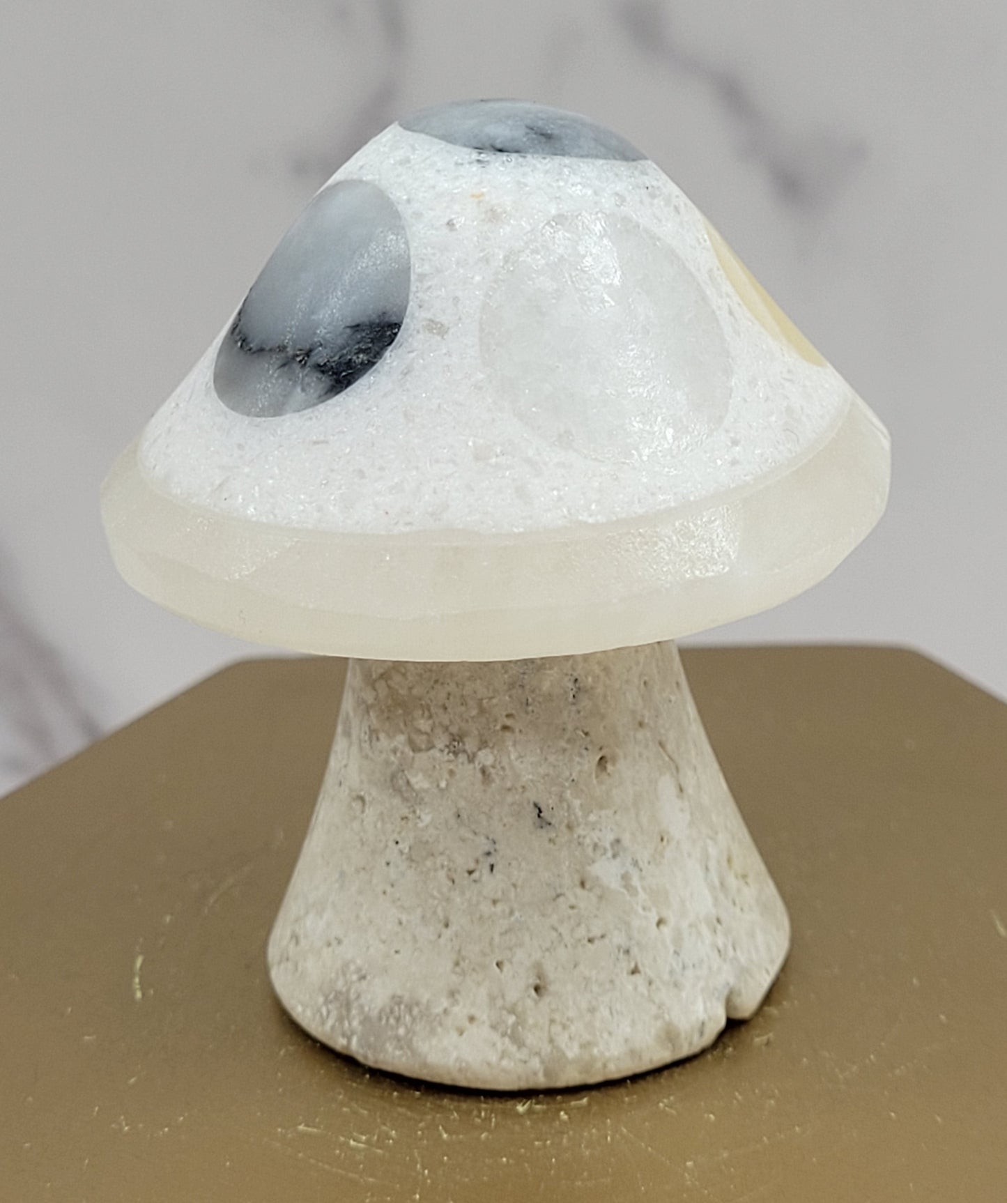 Mexican Onyx mushroom