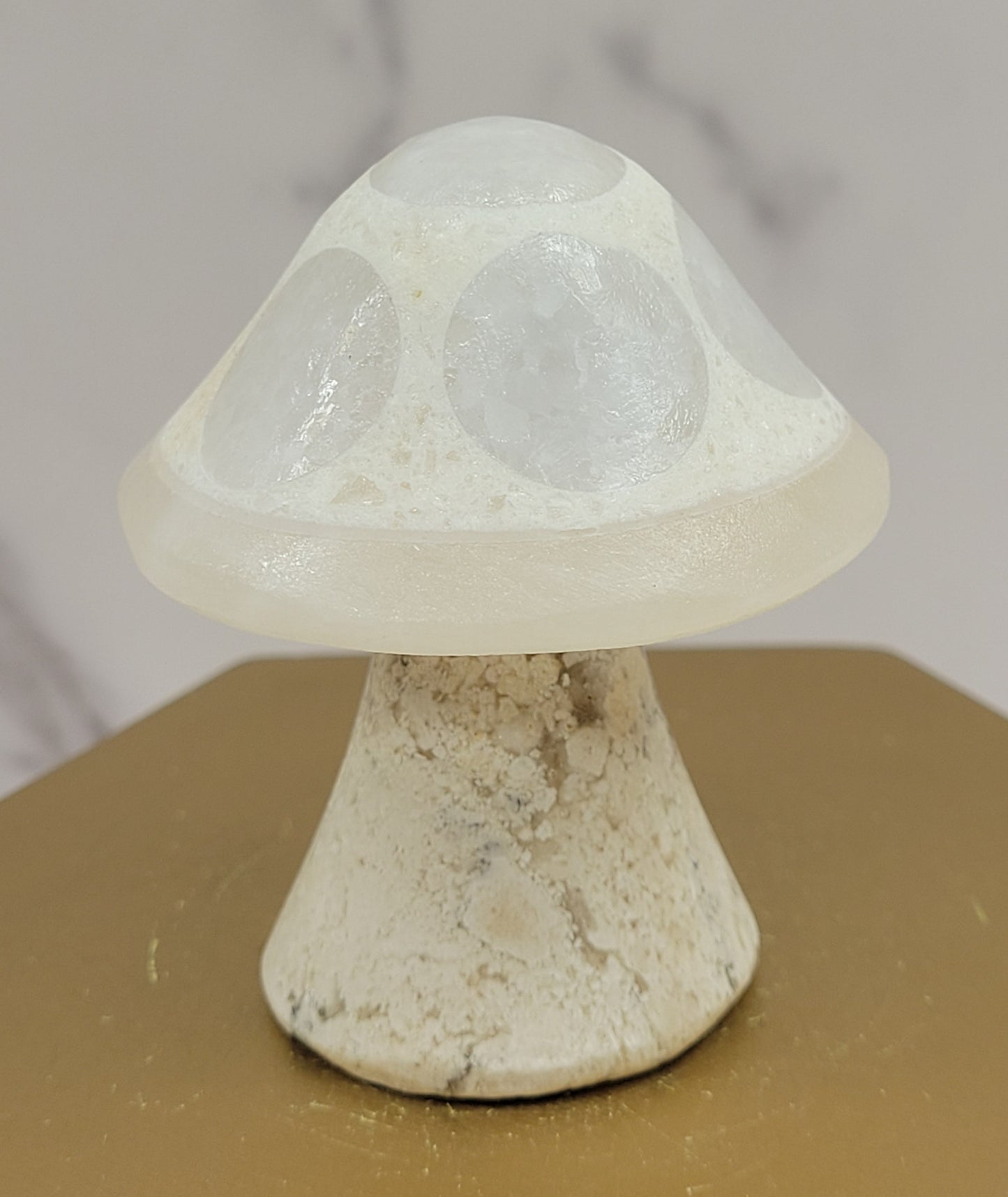 Mexican Onyx mushroom