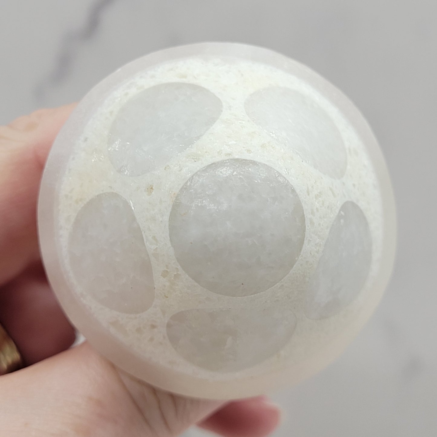 Mexican Onyx mushroom